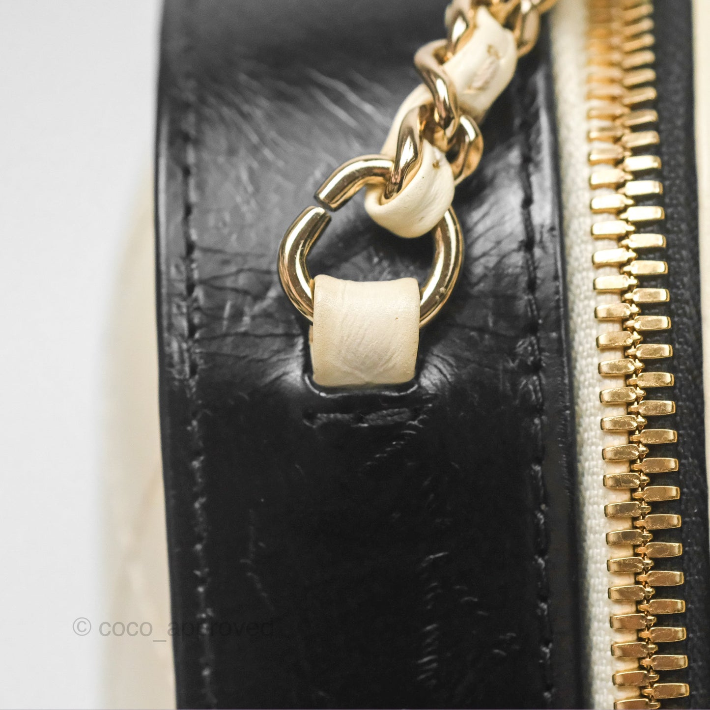 Chanel Camera Case Bag Black/White Calfskin Gold Hardware