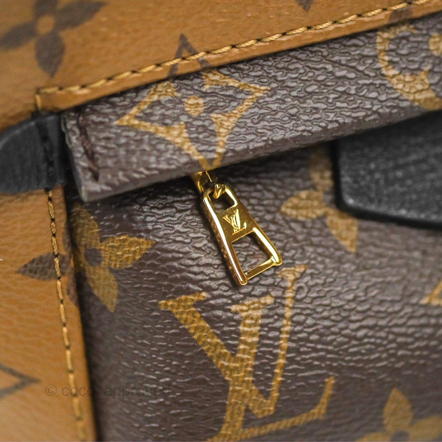 Louis Vuitton Reverse Mini Palm Springs Backpack⁣