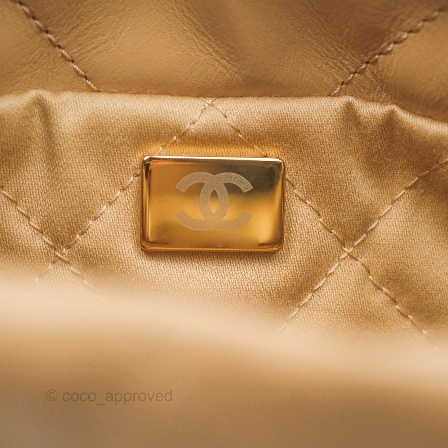 Chanel 22 Mini Bag Beige Shiny Crumpled Calfskin