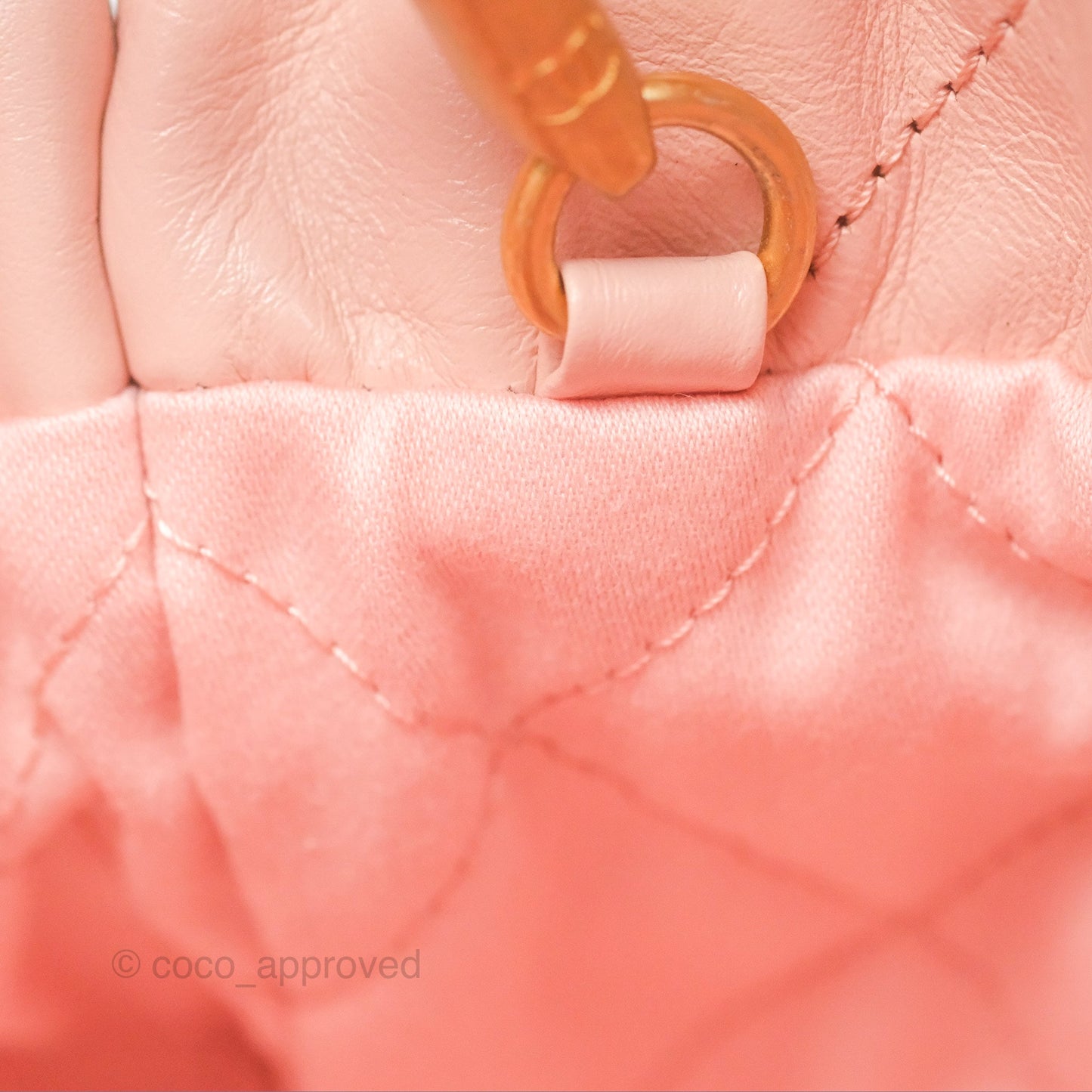 Chanel 22 Mini Bag Pink Shiny Crumpled Calfskin