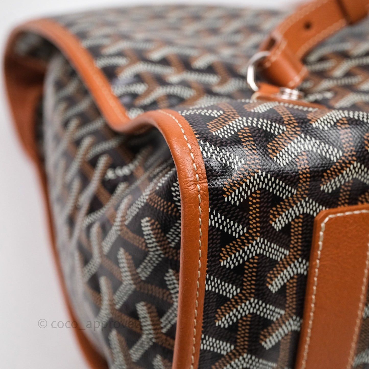 Goyard Saint Léger Backpack Black/ Tan