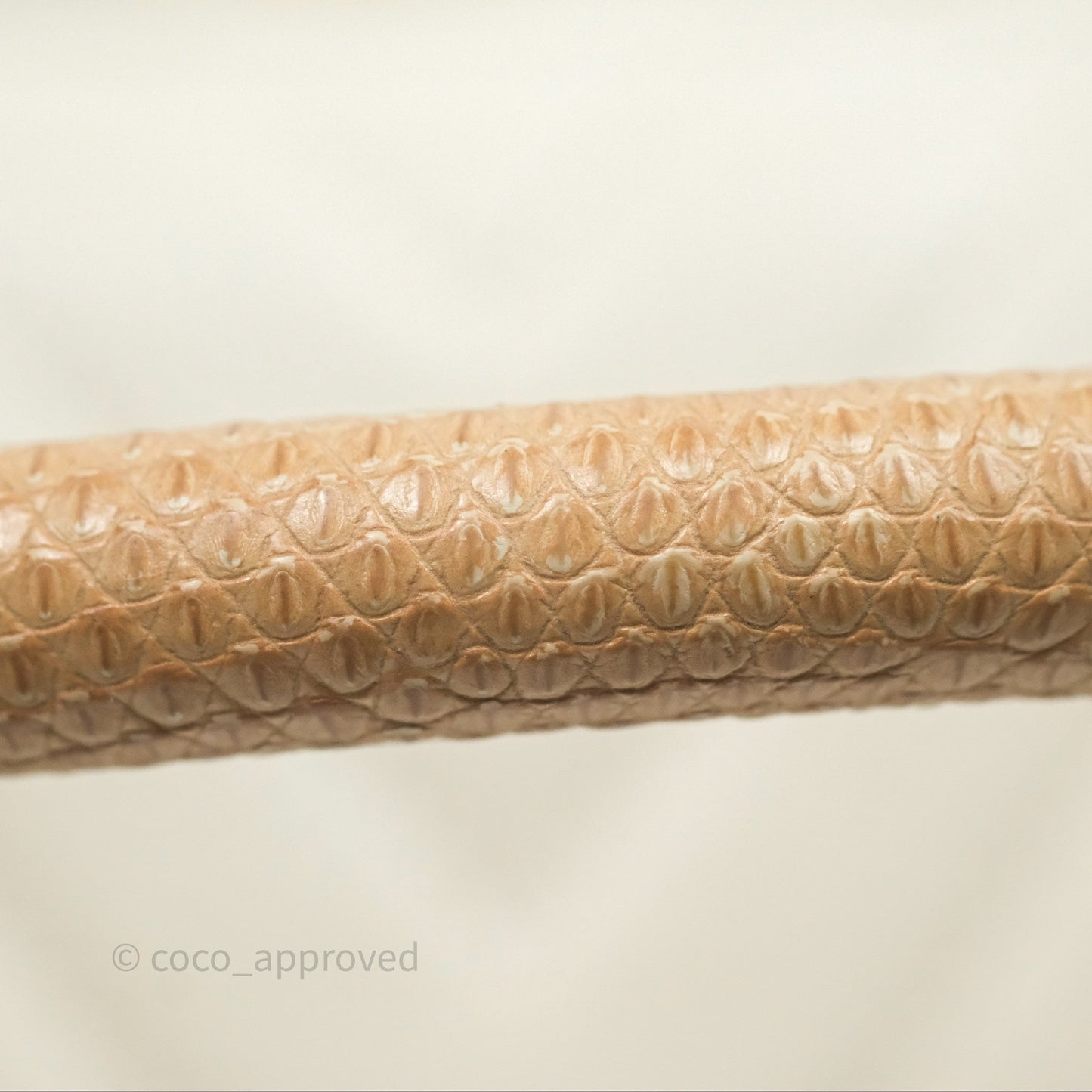 Chanel Medium Coco Handle Chevron Aged Calfskin Ivory Aged Gold Hardware Beige Lizard Handle