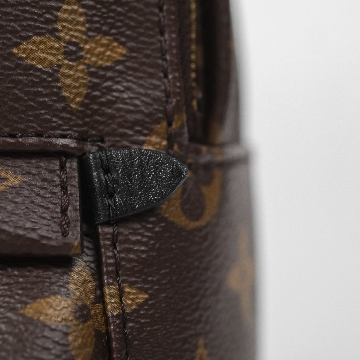 Louis Vuitton Monogram Mini Palm Springs Backpack⁣