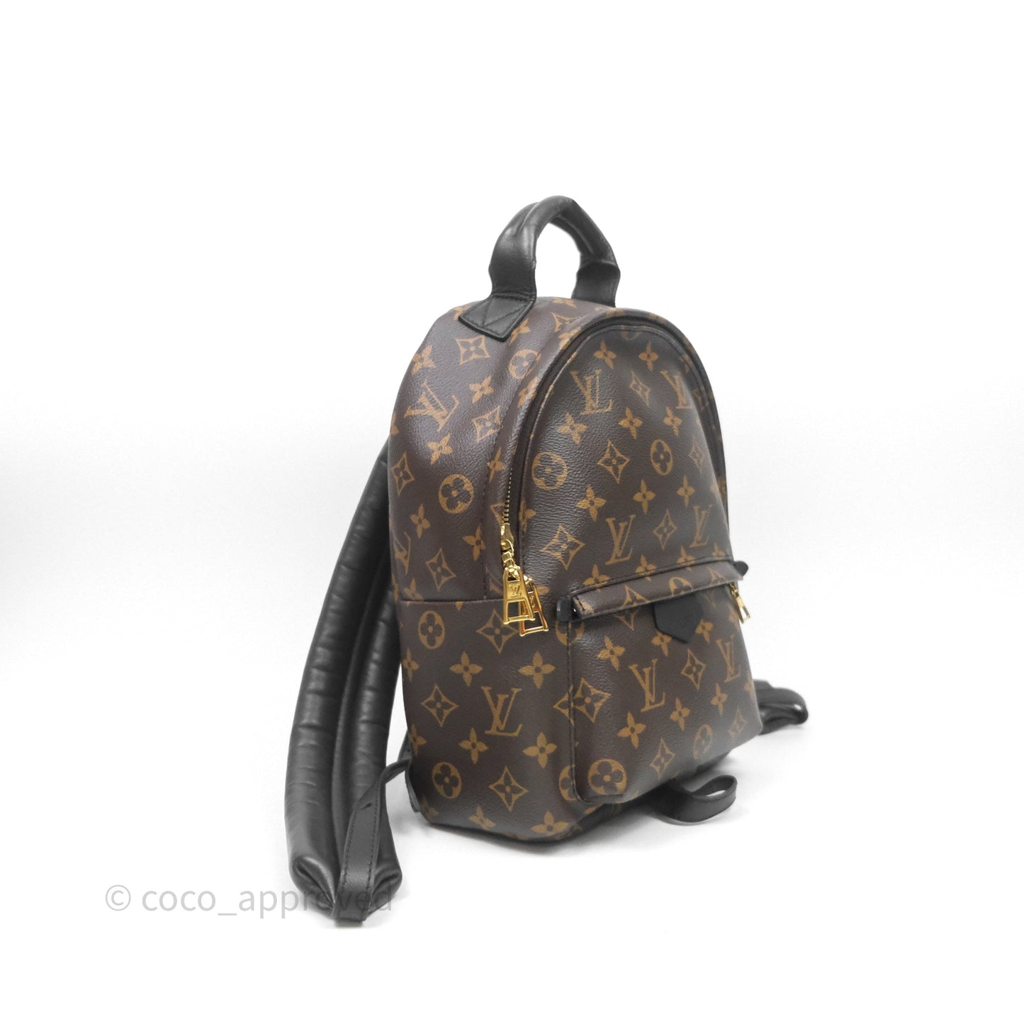 Louis Vuitton Palm Springs Backpack⁣ Monogram PM