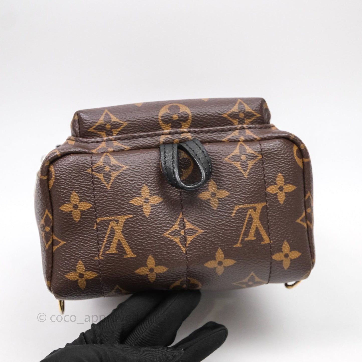 Louis Vuitton Mini Palm Springs Backpack⁣ Monogram