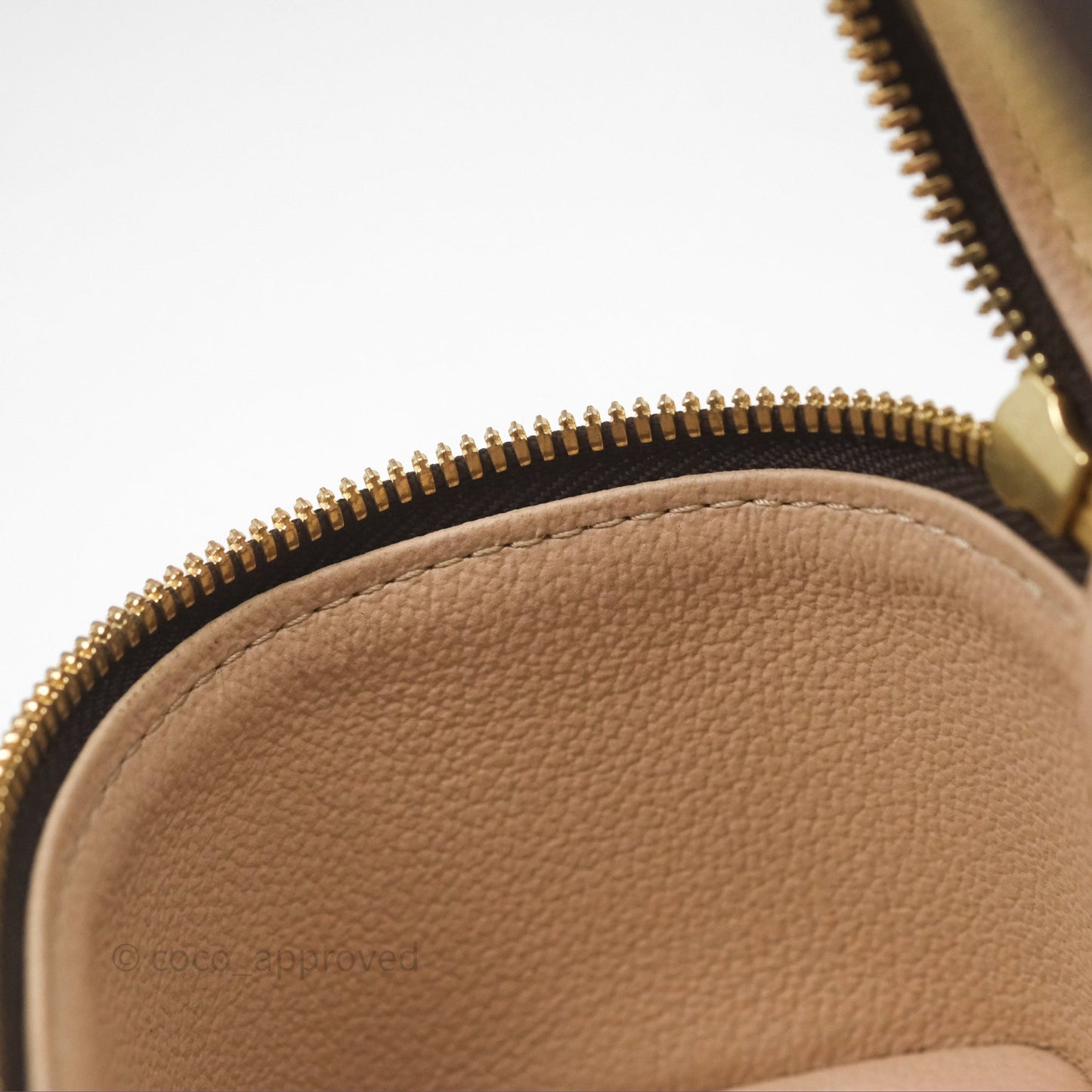 Louis Vuitton Monogram Nice Nano