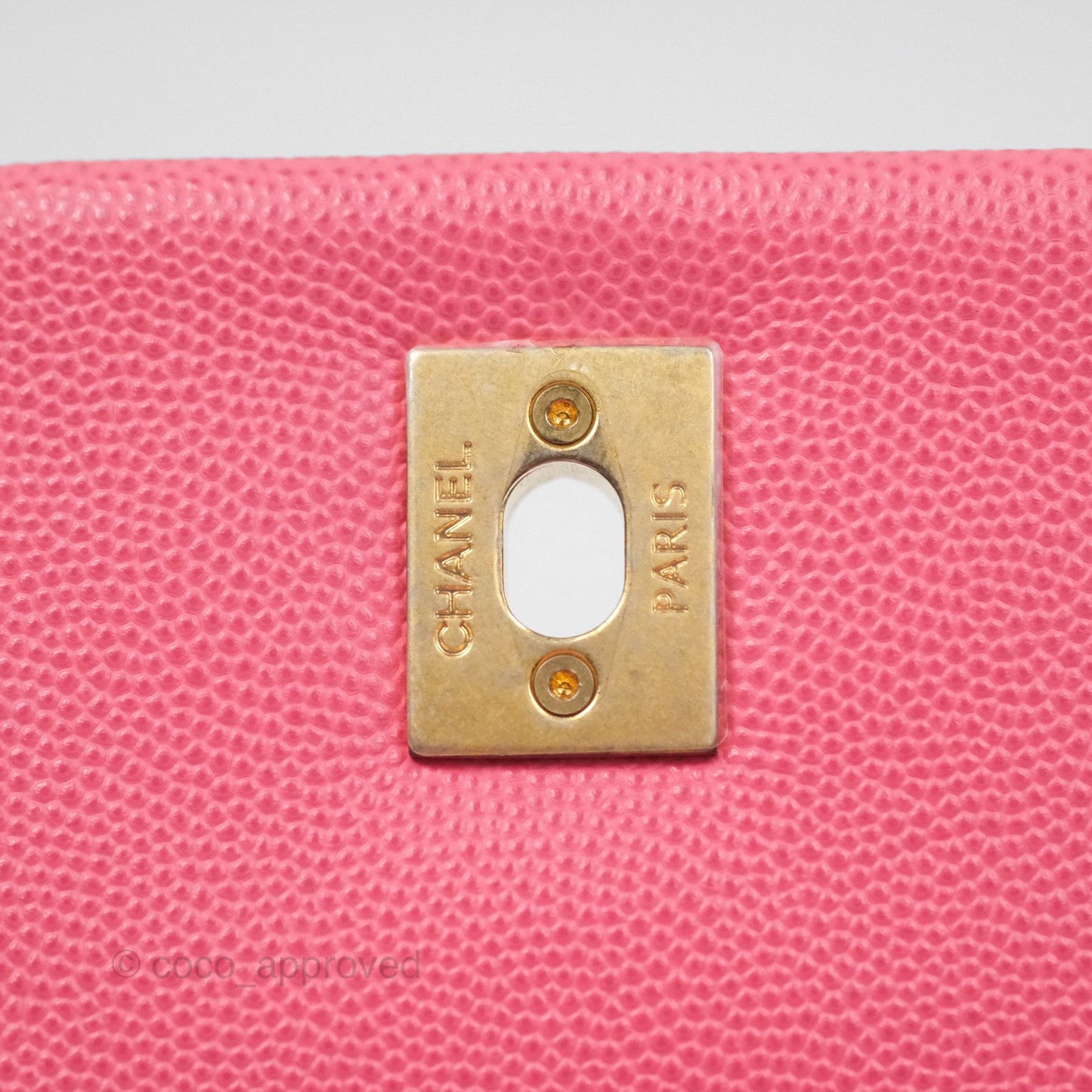 Chanel Small Coco Handle Quilted Pink Caviar Aged Gold Hardware Lizard Handle