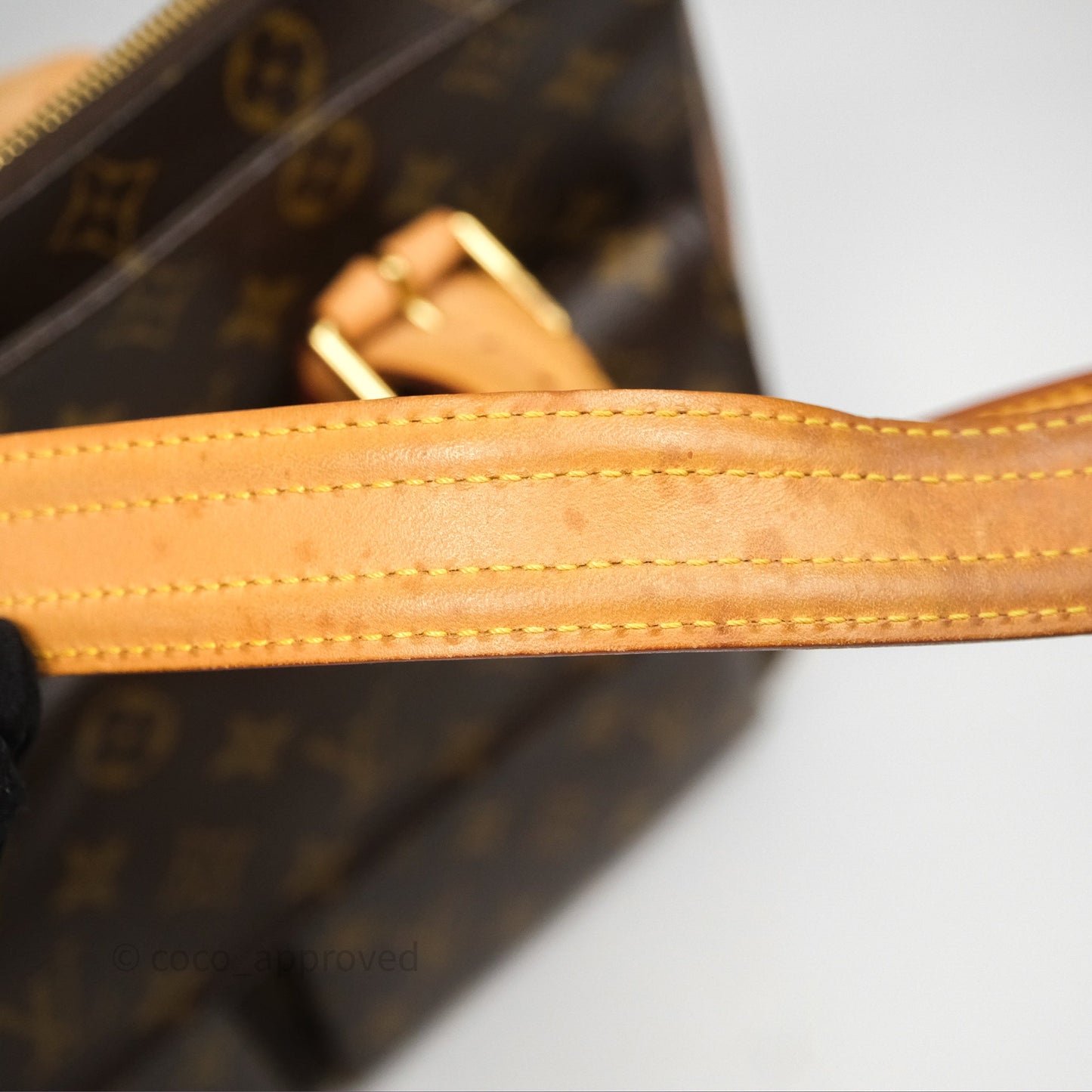 Louis Vuitton Multipli-Cite Tote Monogram Canvas