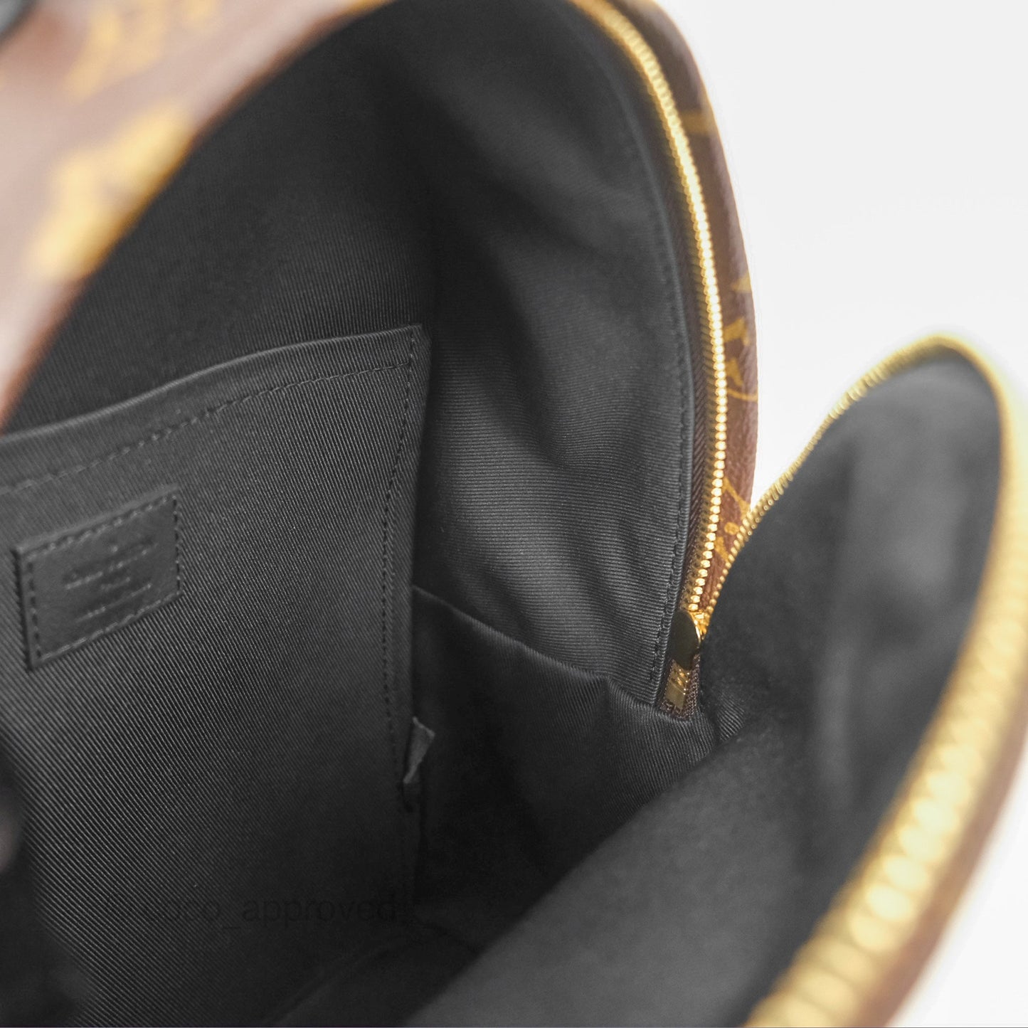 Louis Vuitton Palm Springs Backpack⁣ Monogram PM