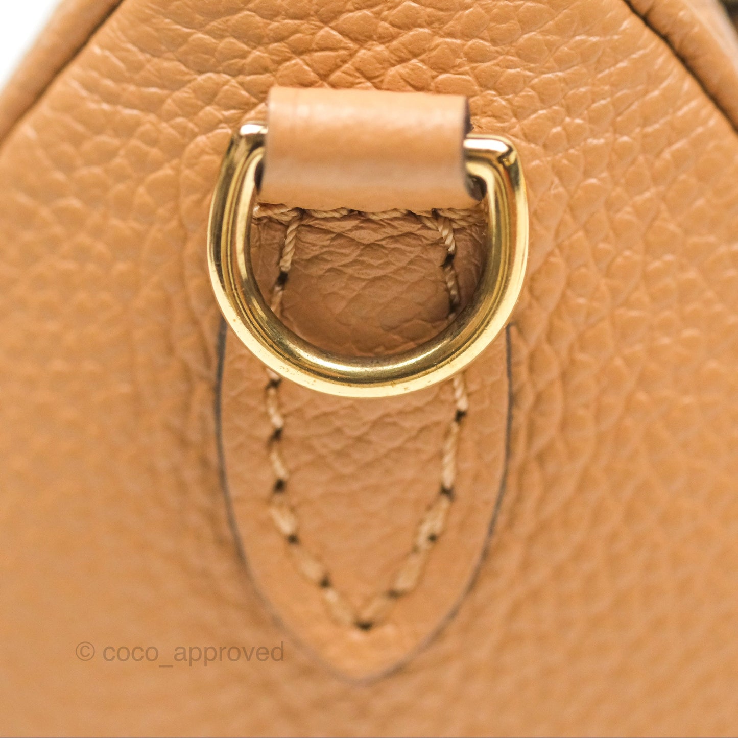 Louis Vuitton Nano Speedy Monogram Arizona Creme