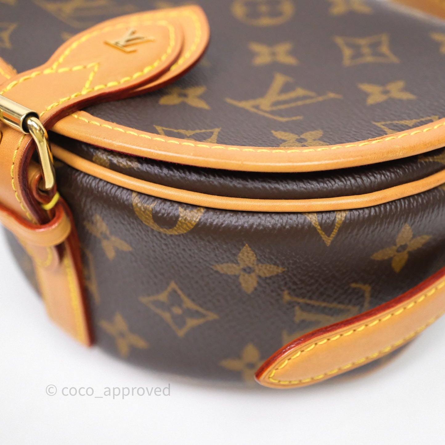 Louis Vuitton Tambourin Monogram Canvas Bag