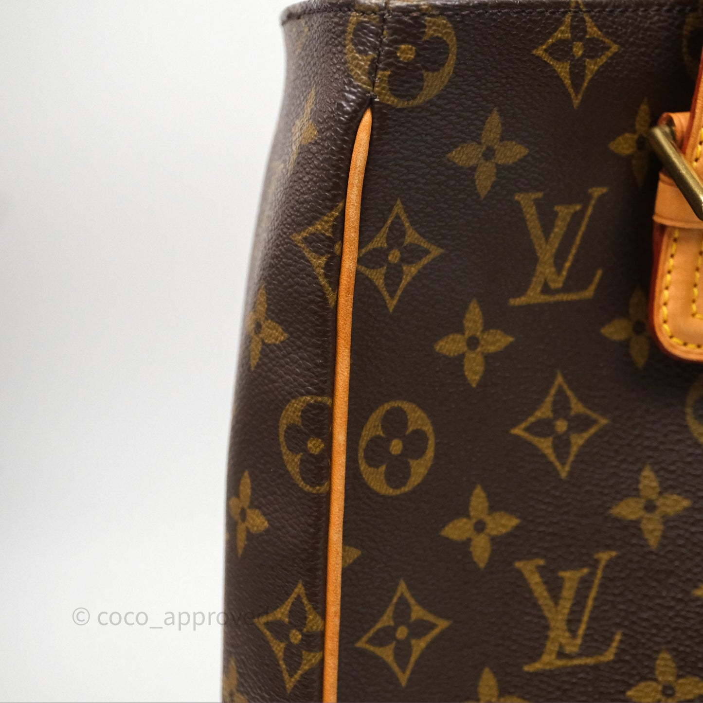 Louis Vuitton Multipli-Cite Tote Monogram Canvas