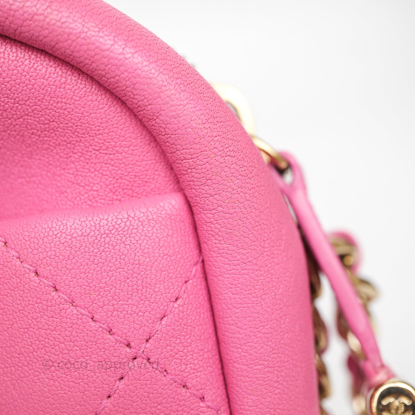 Chanel Camera Bag Pink Calfskin Aged Gold Hardware