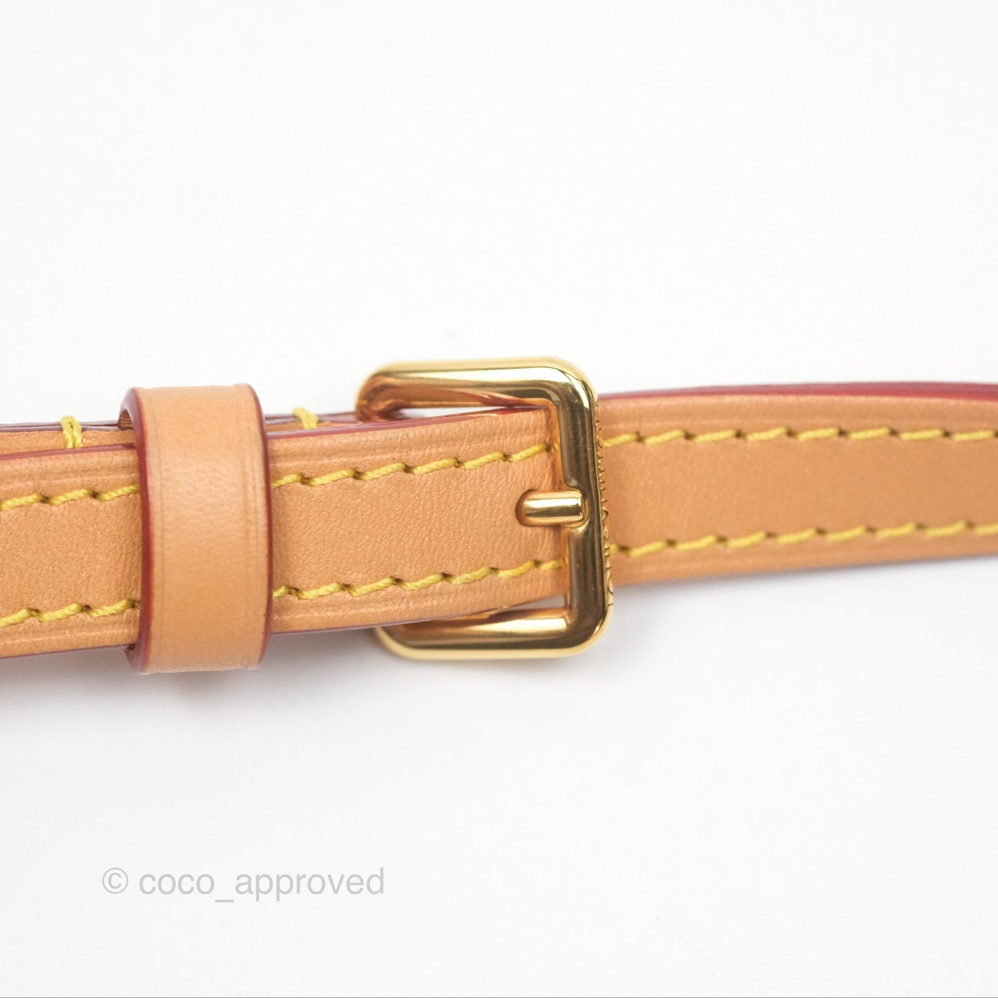 Louis Vitton Mini Bumbag in Monogram Canvas