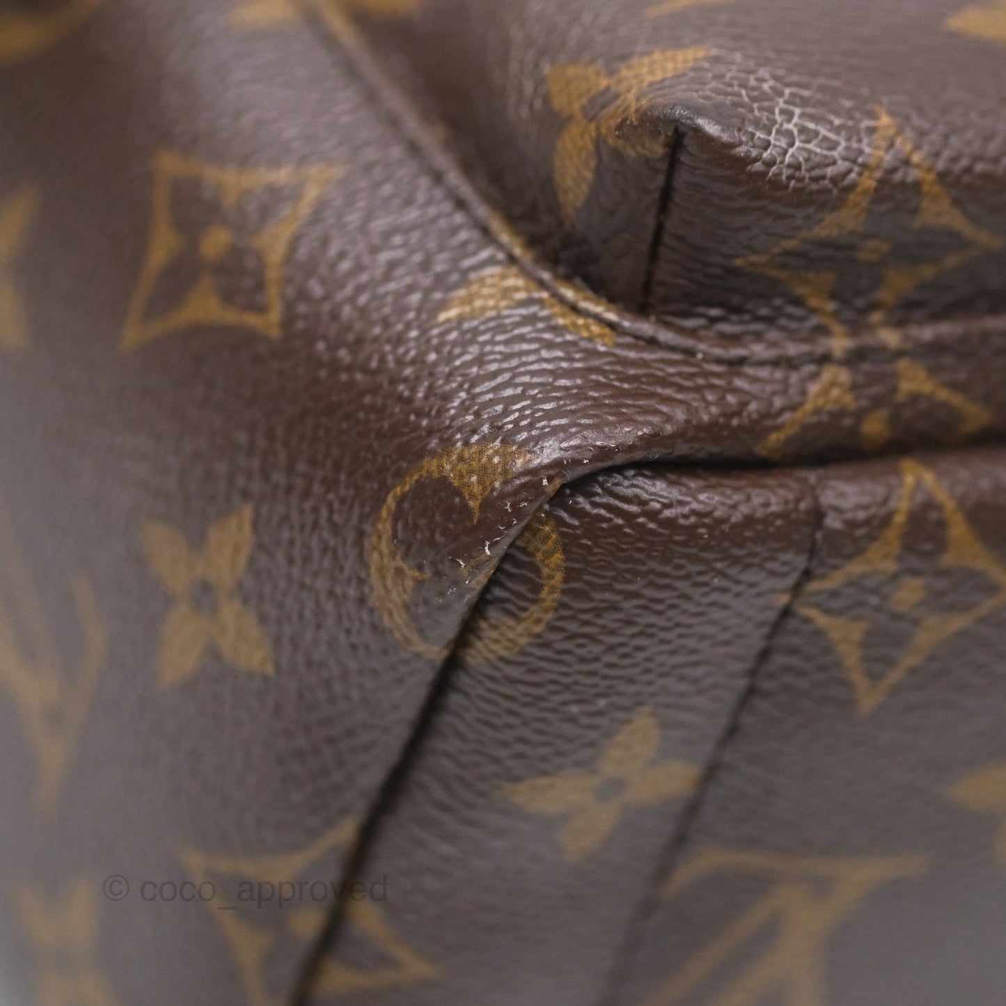 Louis Vuitton Monogram Mini Palm Springs Backpack⁣