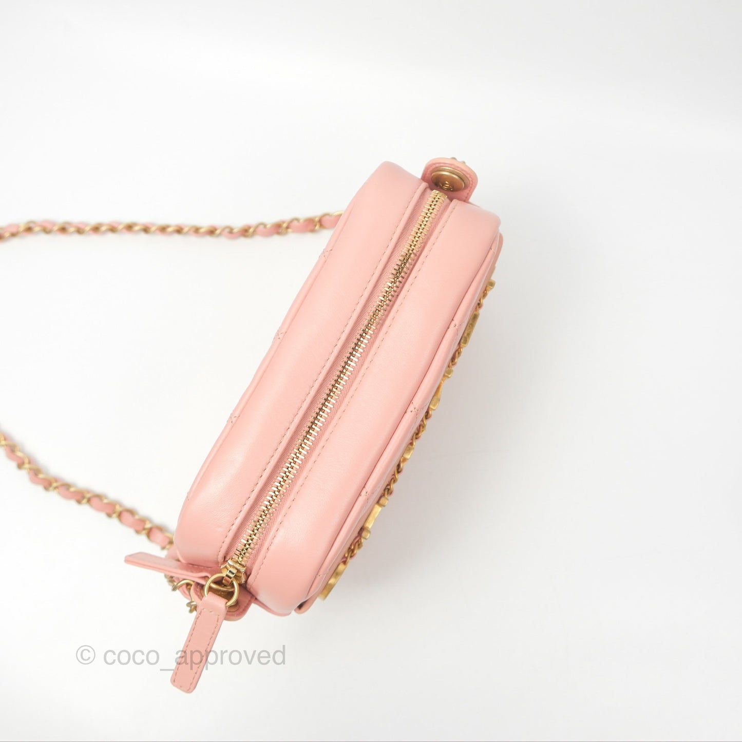 Chanel Logo Enchained Camera Bag Pink Calfskin Aged Gold Hardware