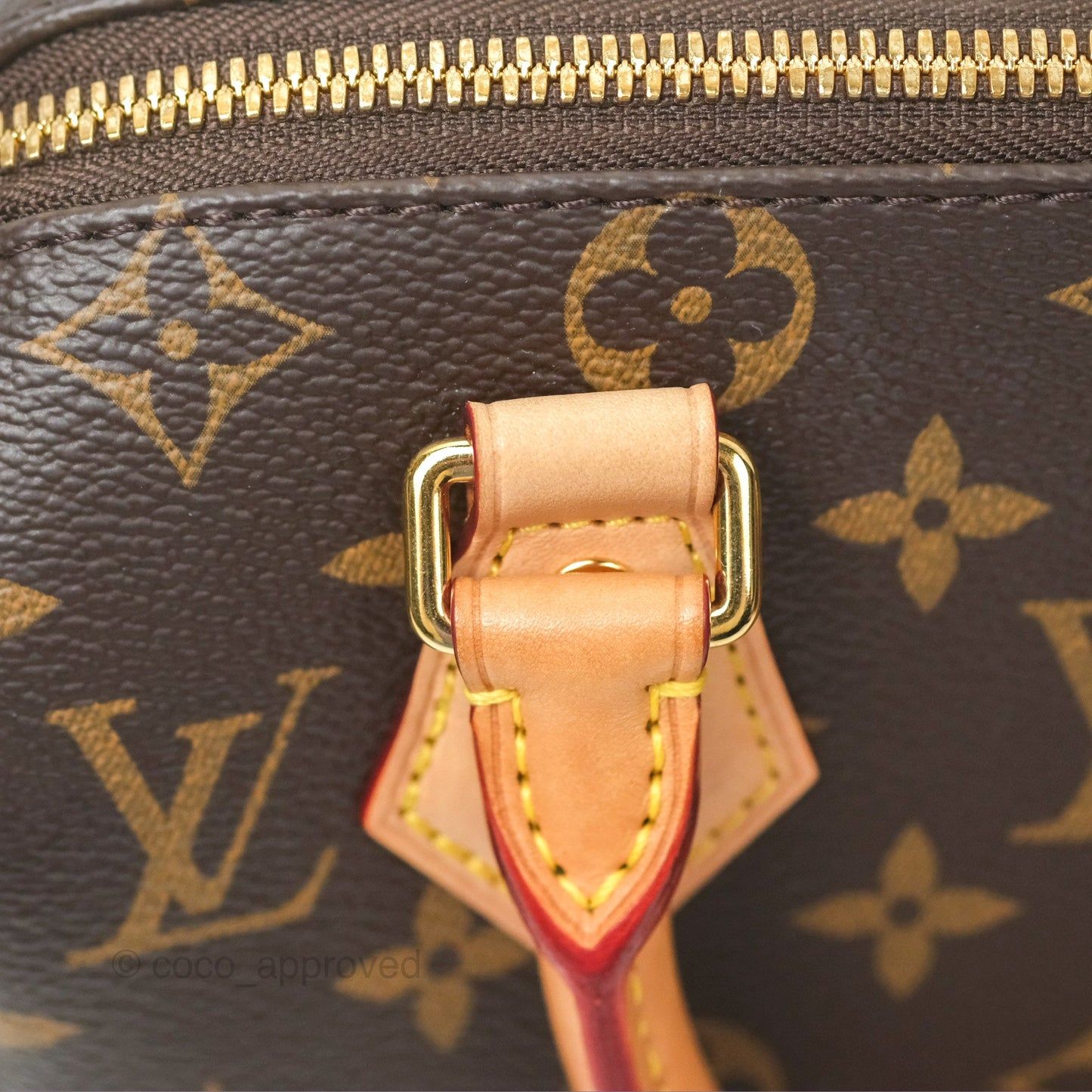 Louis Vuitton Speedy Bandoulière 20 Monogram