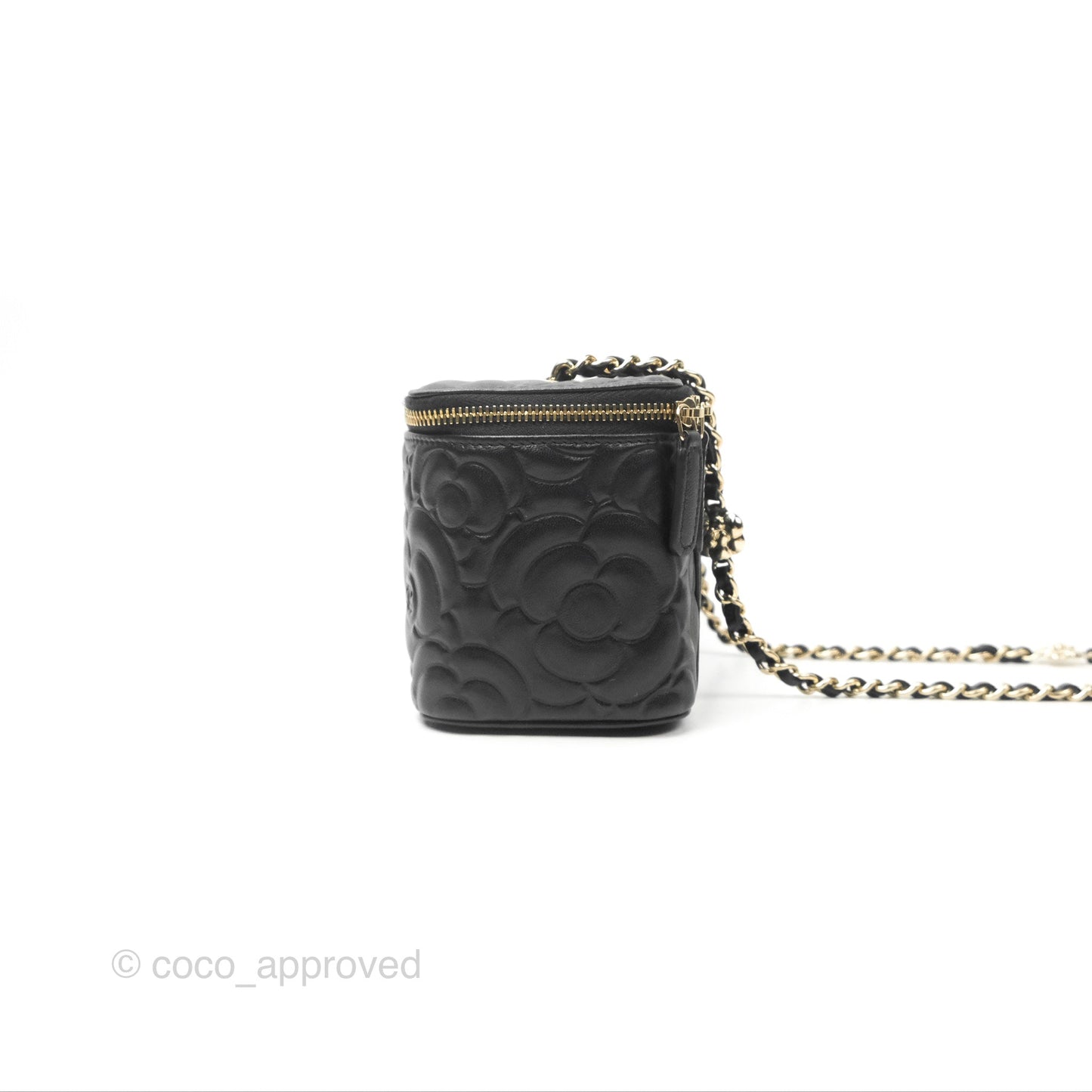 Chanel Vanity Rectangular Camellia Embossed Black Lambskin Gold Hardware 21S