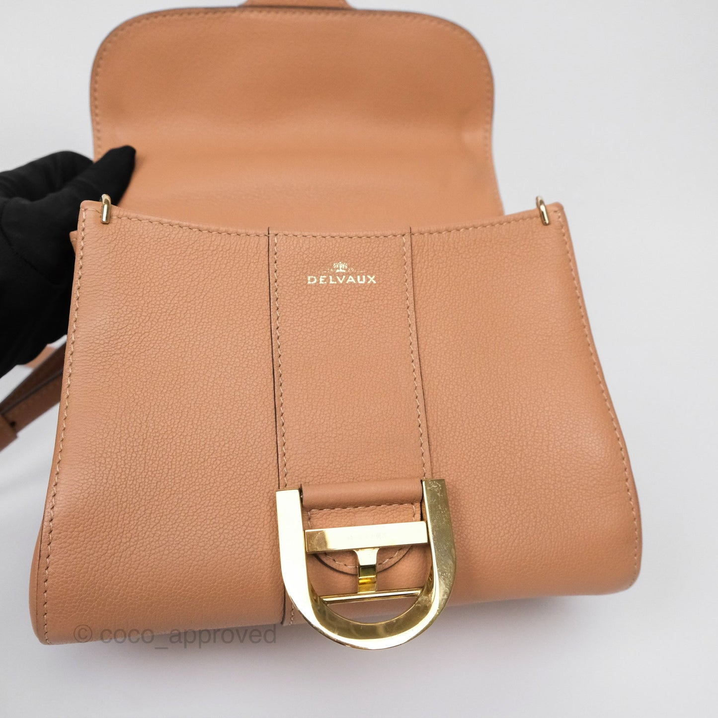 Delvaux Mini Brillant Bag Nude Grained Calfskin Gold Hardware