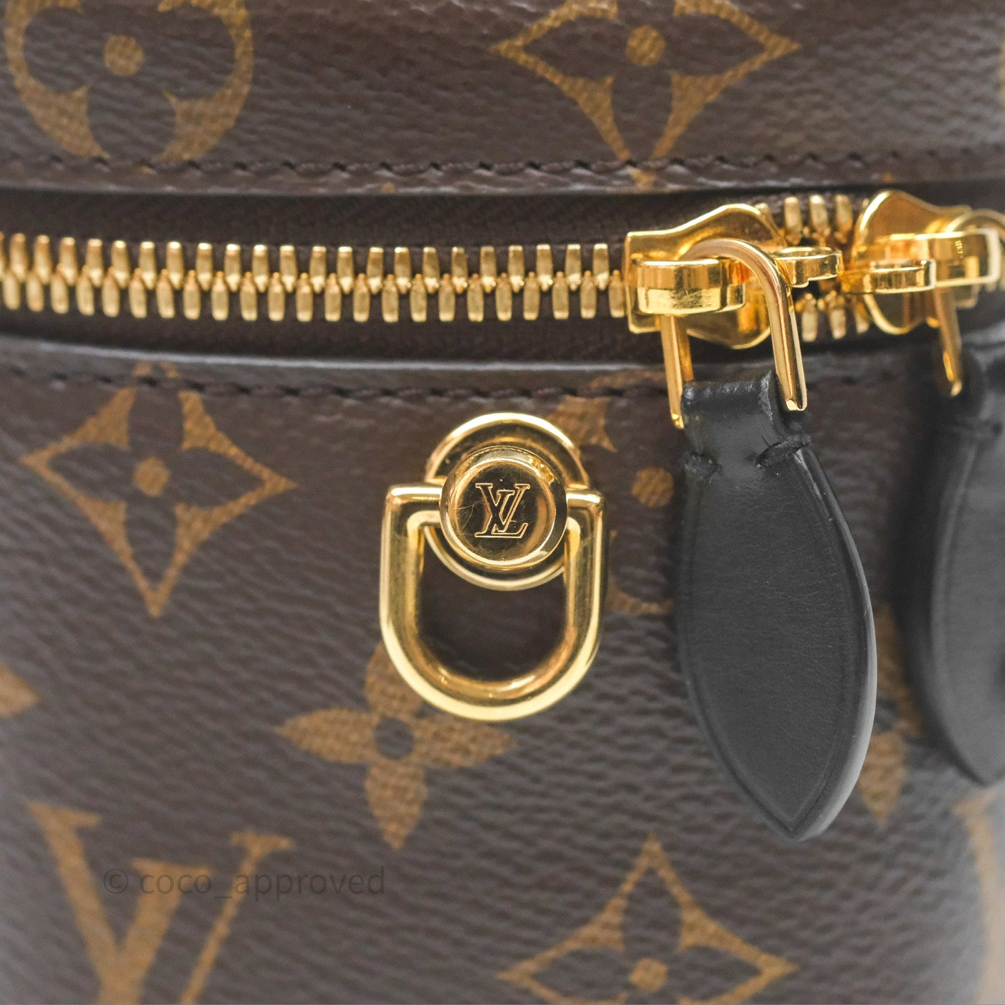Louis Vuitton Reverse Monogram Vanity PM