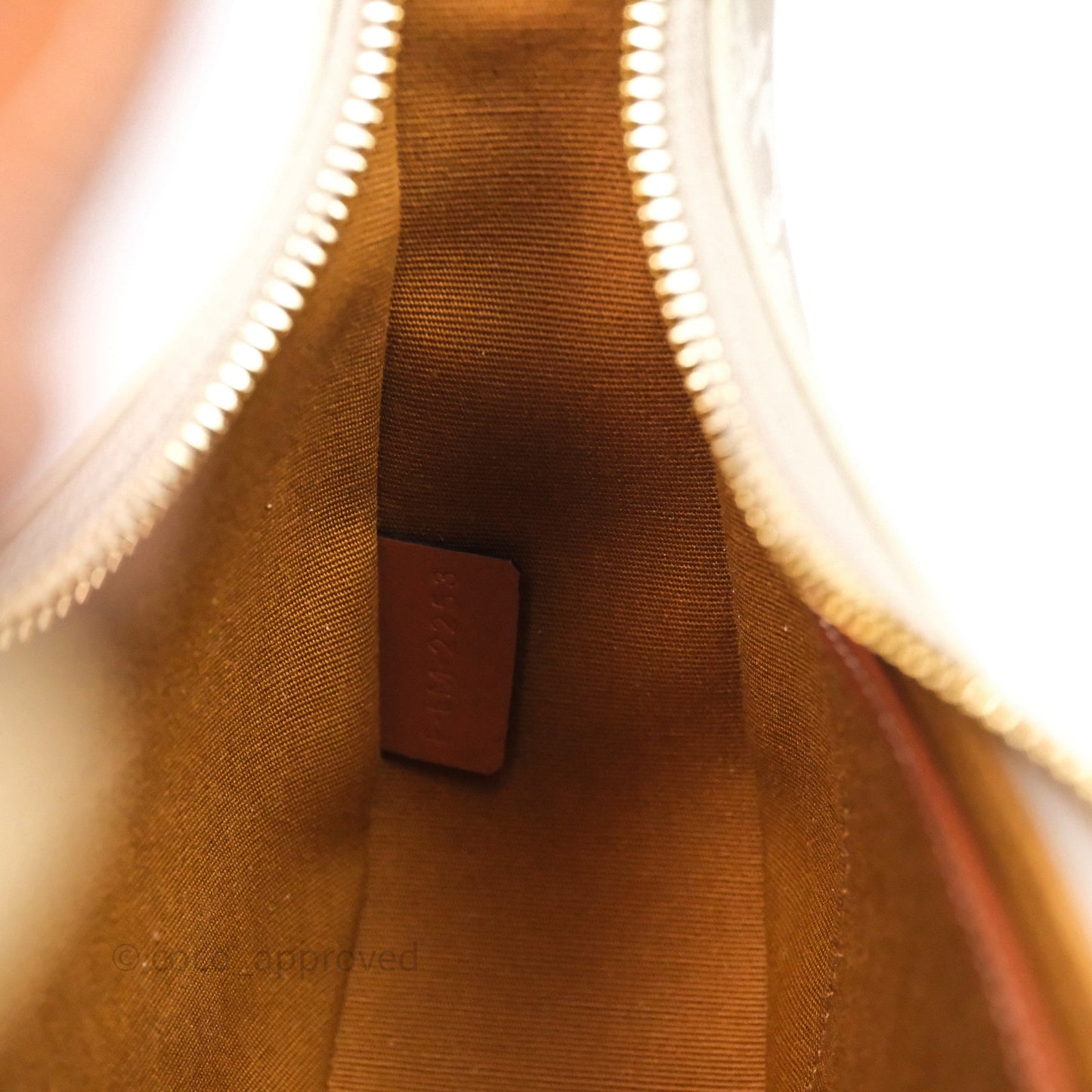 Celine Ava Bag In Triomphe Canvas Calfskin Grege