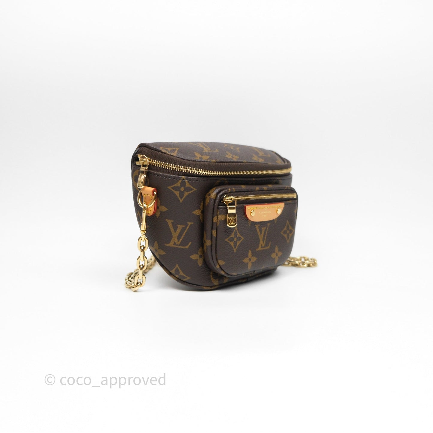 Louis Vitton Mini Bumbag in Monogram Canvas