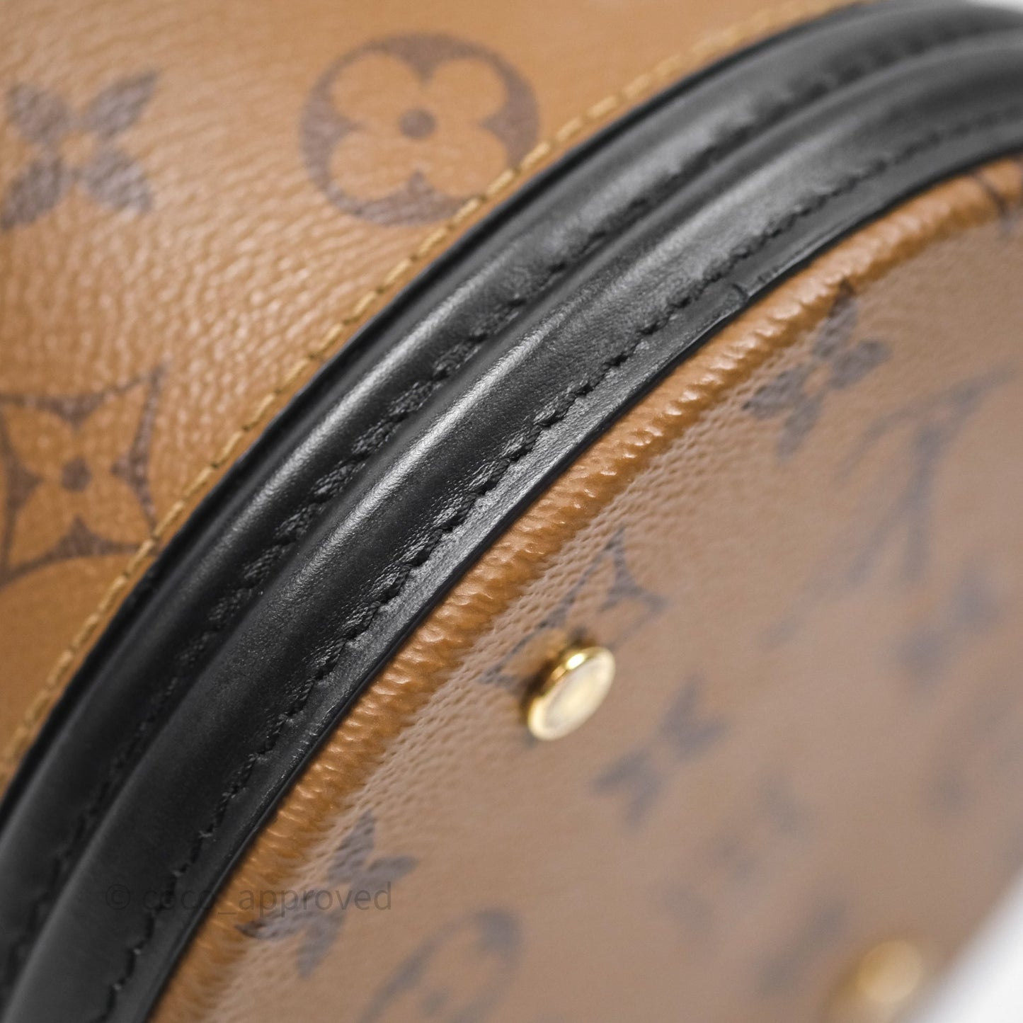 Louis Vuitton Monogram Canvas Reverse Cannes Bag
