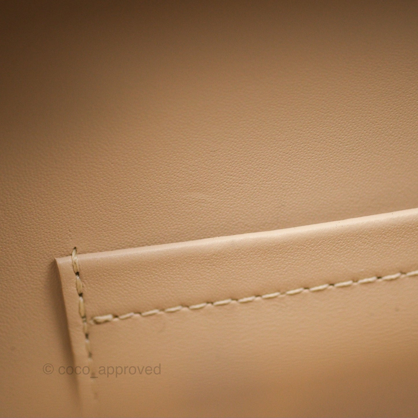 Louis Vuitton Reverse Monogram Petite Malle