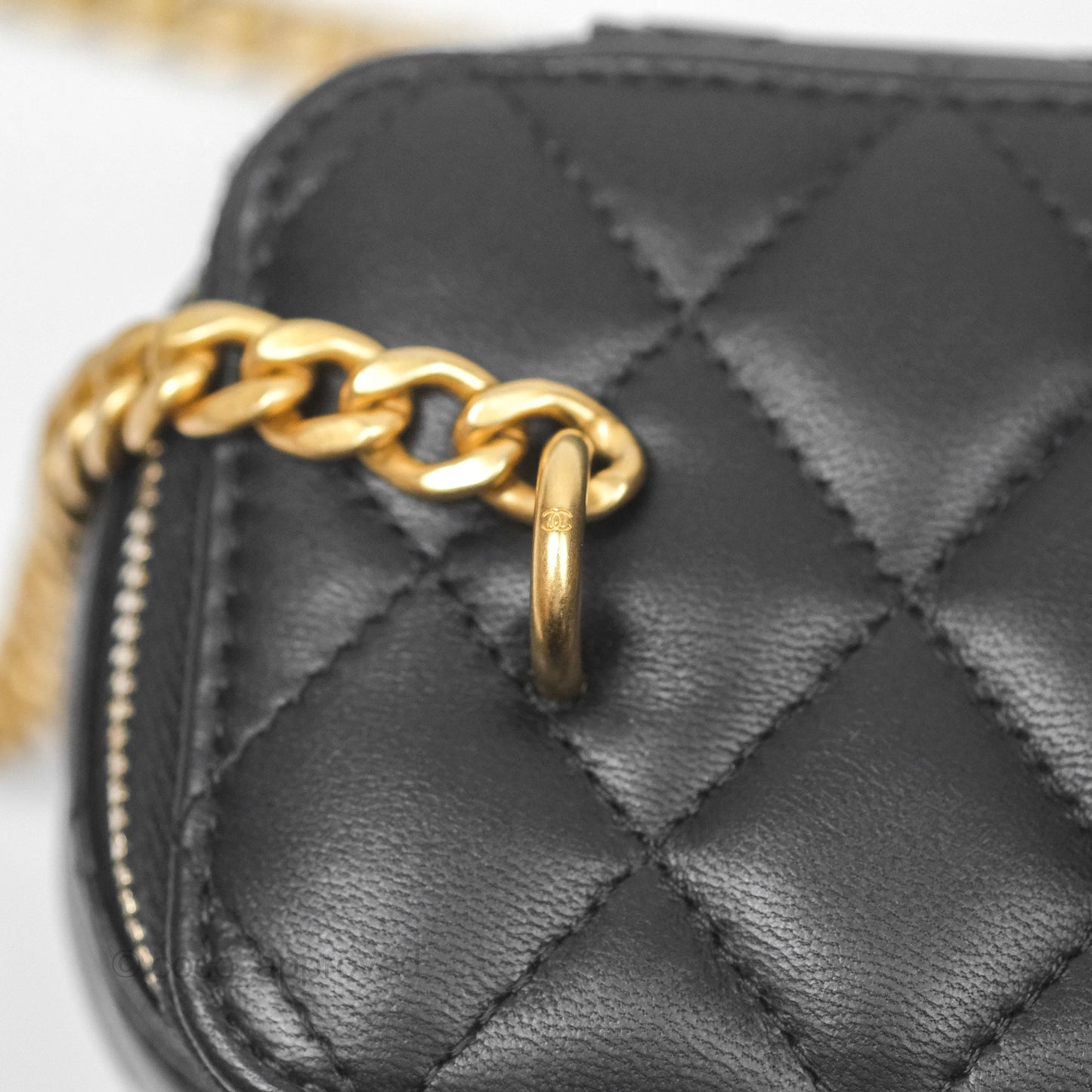 Chanel Quilted Vanity Rectangular with Camellia Adjustable Chain Black Lambskin 23S