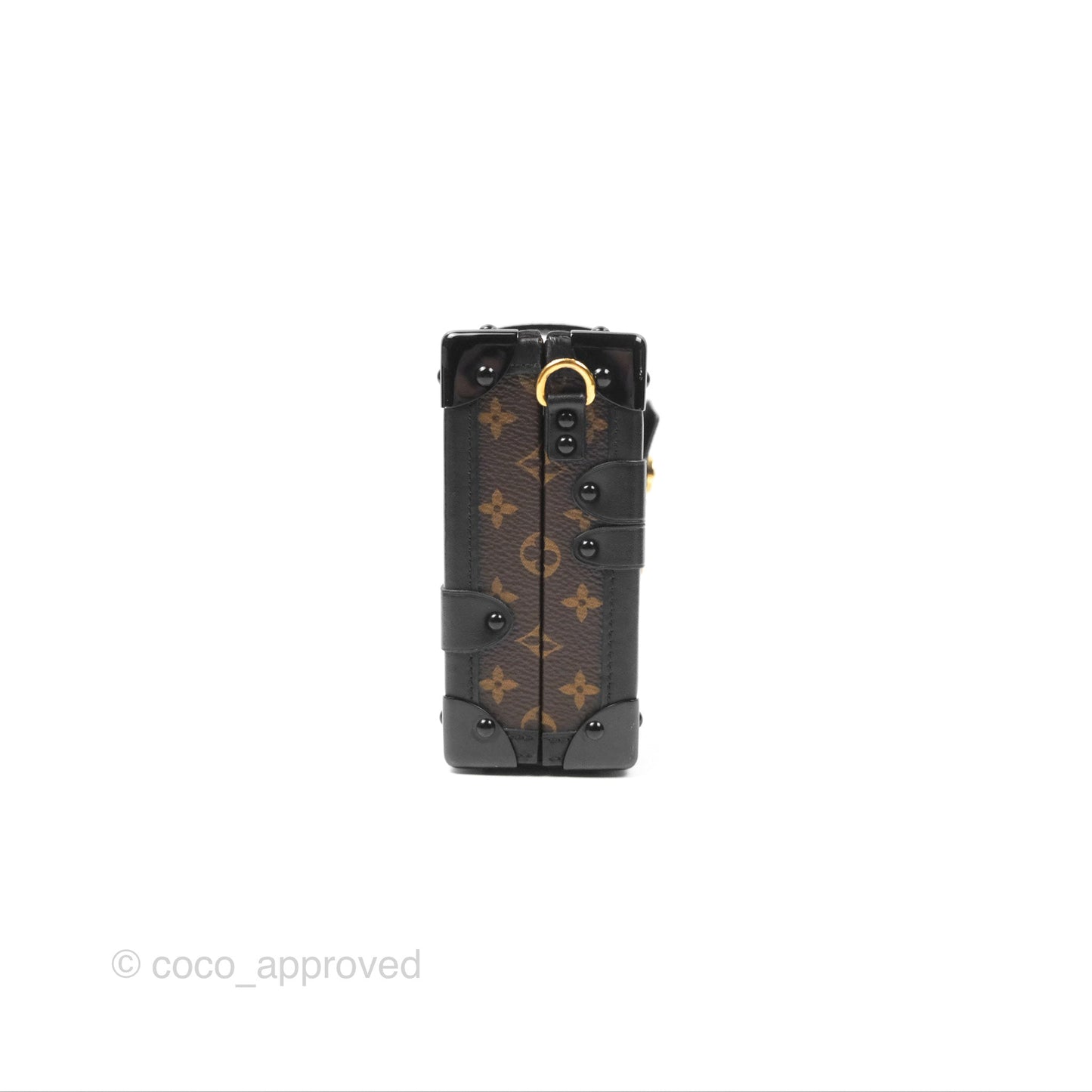 Louis Vuitton Monogram Petite Malle
