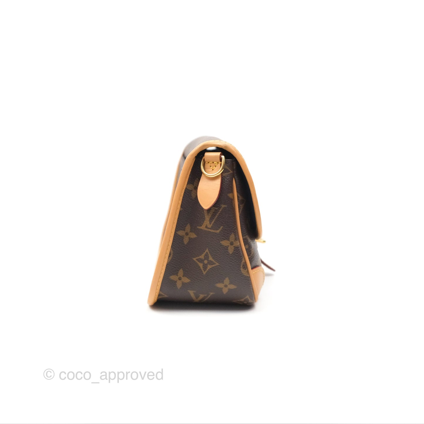 Louis Vuitton Diane Bag Monogram Canvas with Jacquard Strap