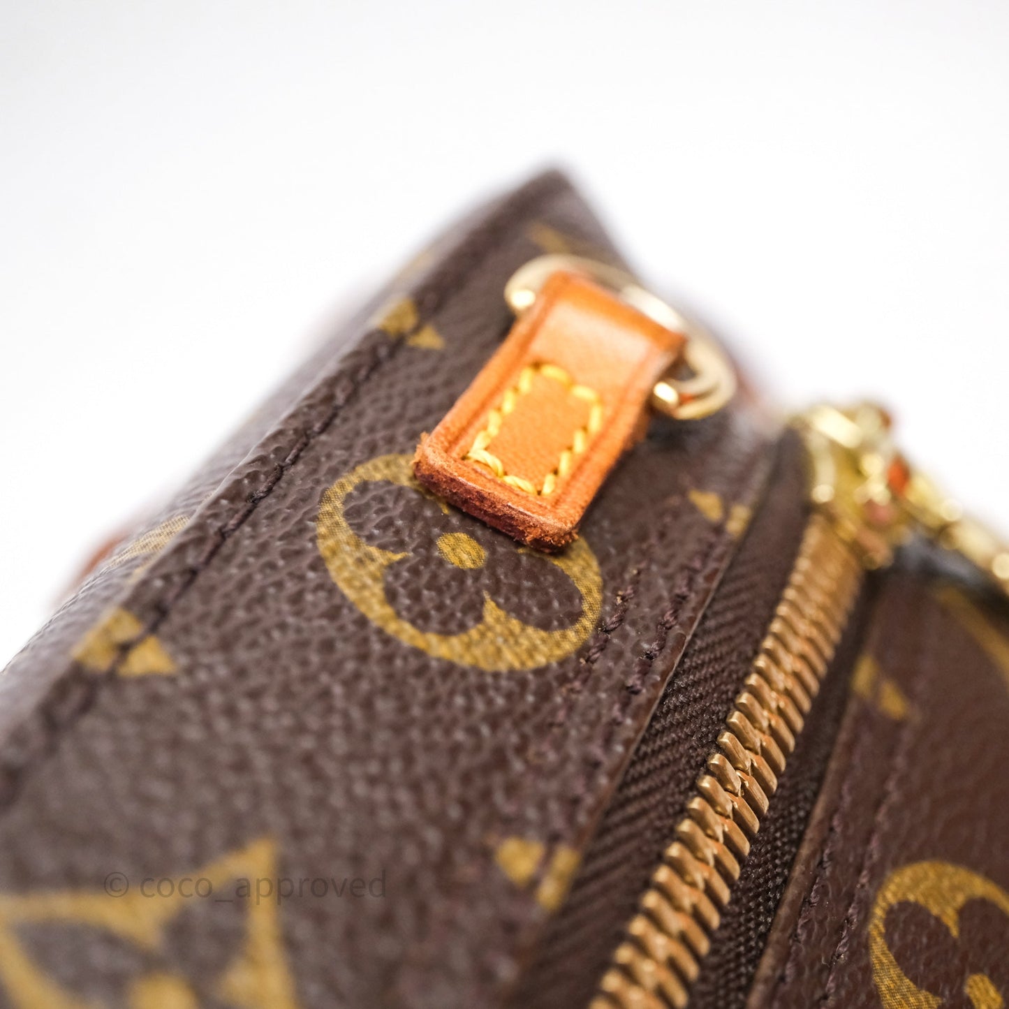 Louis Vuitton Monogram Spontini 2way Bag