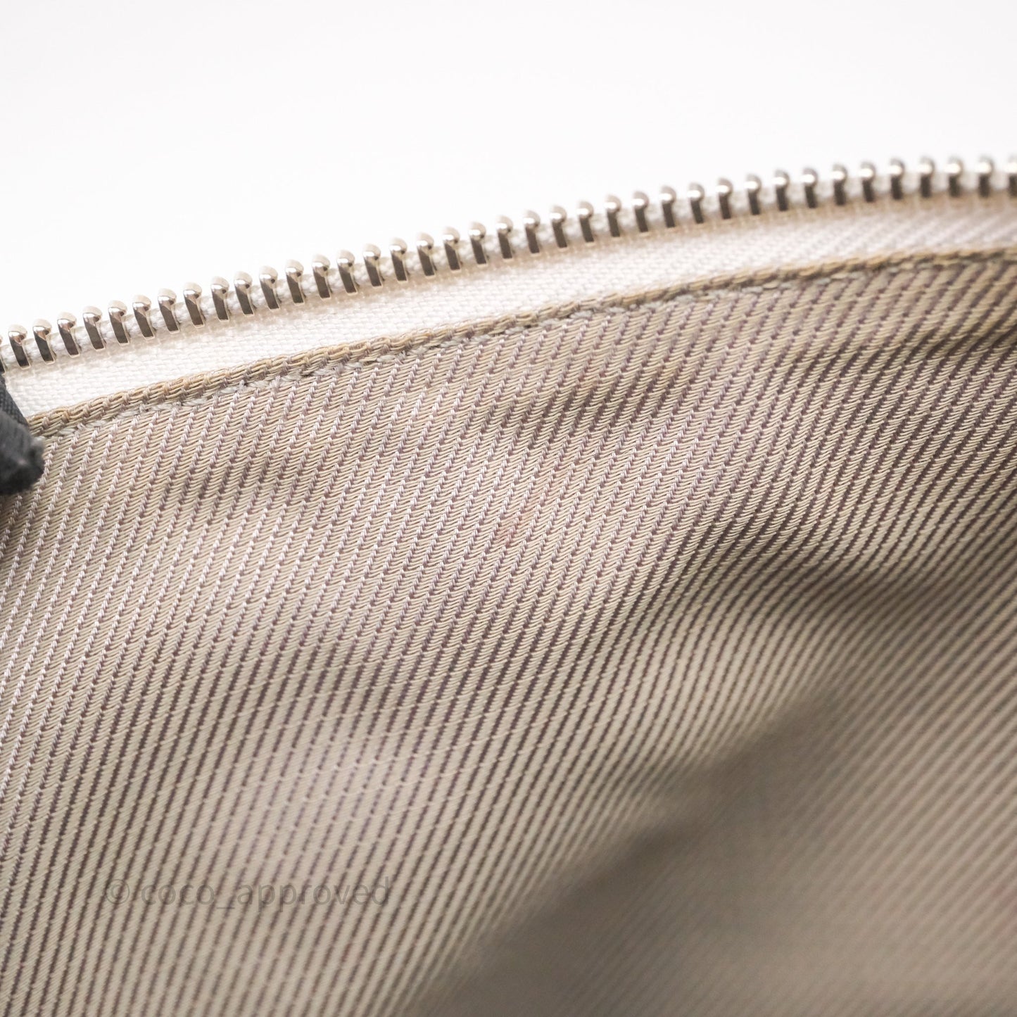 Louis Vuitton Monogram Shimmer Halo Bag Silver
