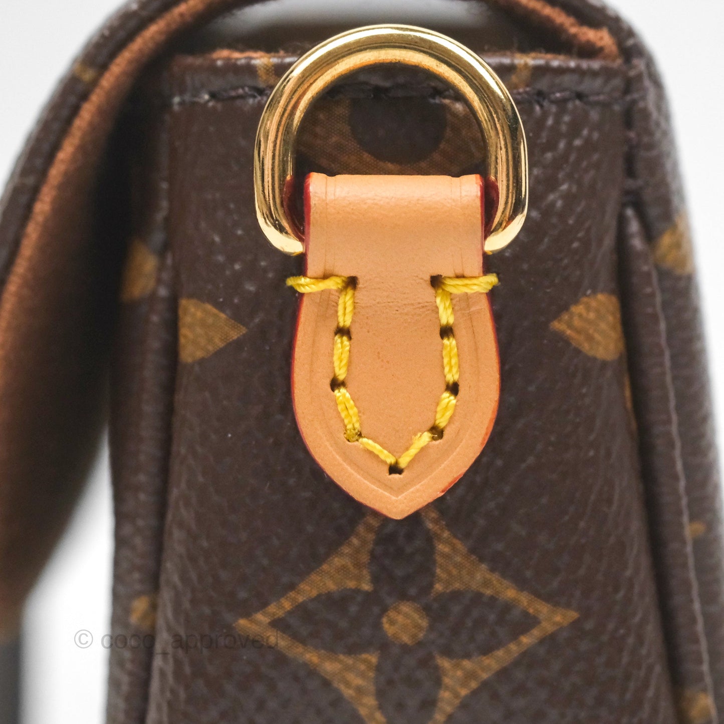 Louis Vuitton Wallet on Chain Ivy Monogram Canvas