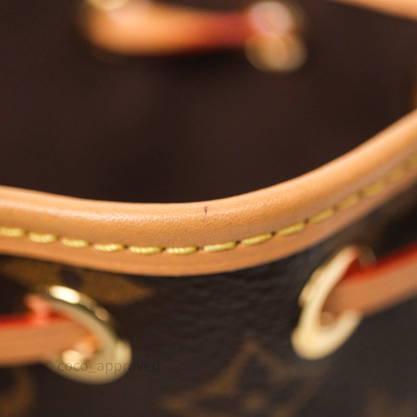 Louis Vuitton Nano Noe Monogram