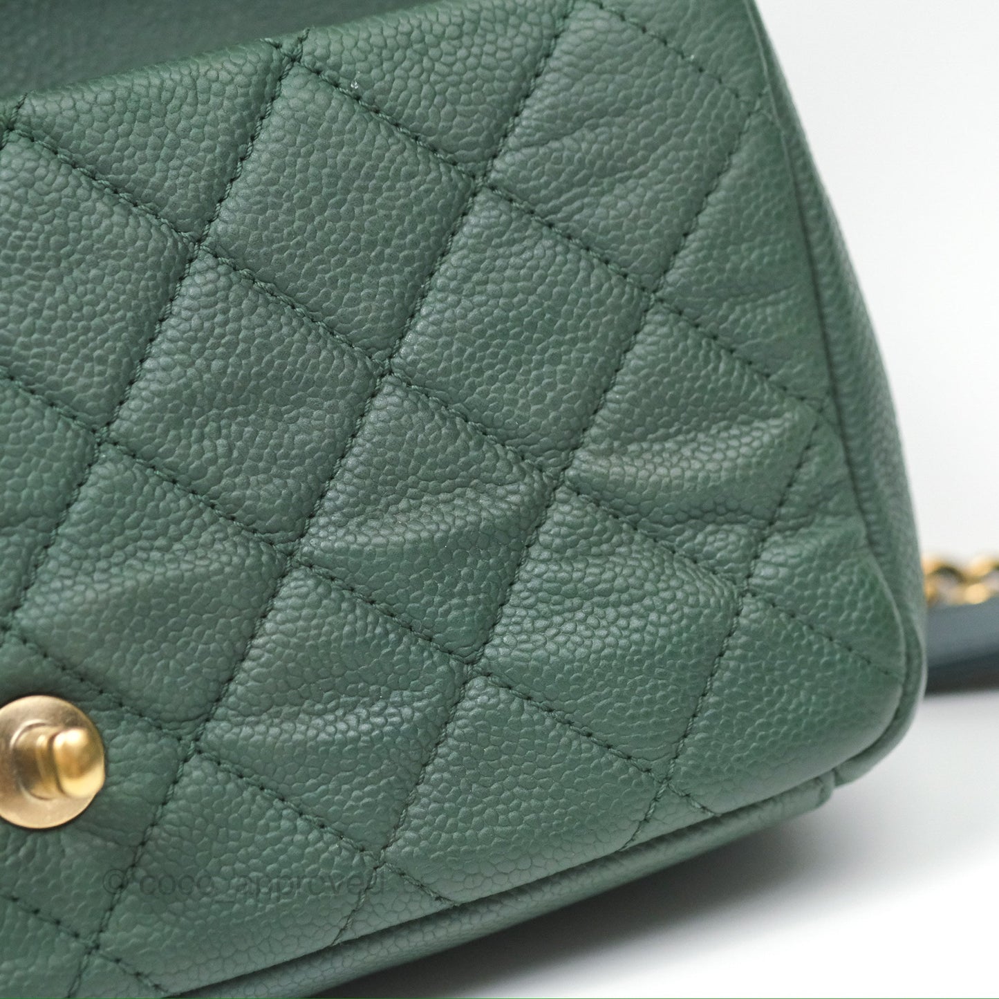 Chanel Globe Trotter Flap Bag Dark Green Caviar Aged Gold Hardware