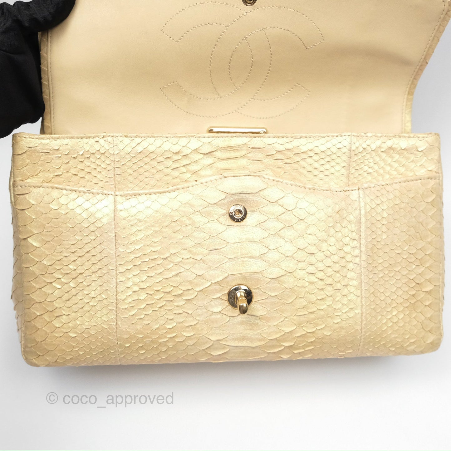 Chanel Jumbo Double Flap Iridescent Gold Python Gold Hardware⁣⁣