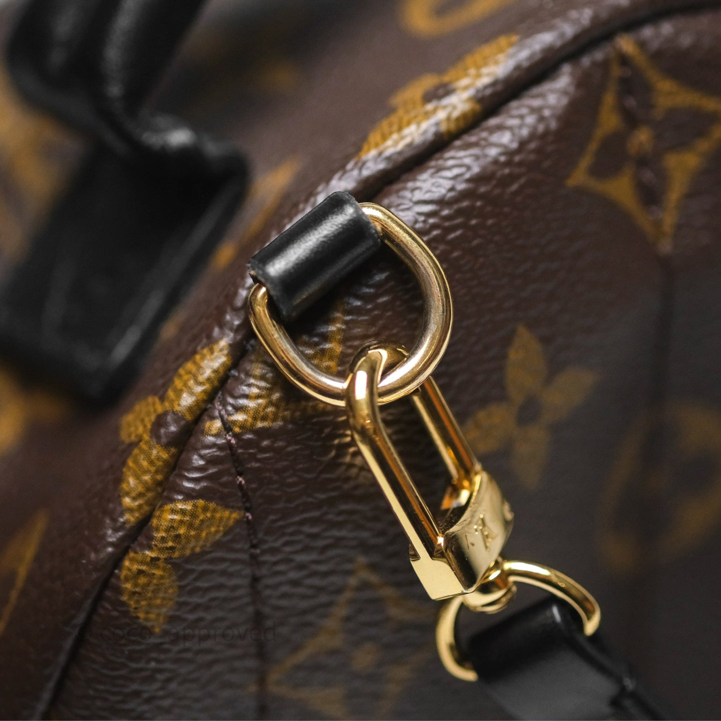 Louis Vuitton Monogram Mini Palm Springs Backpack⁣