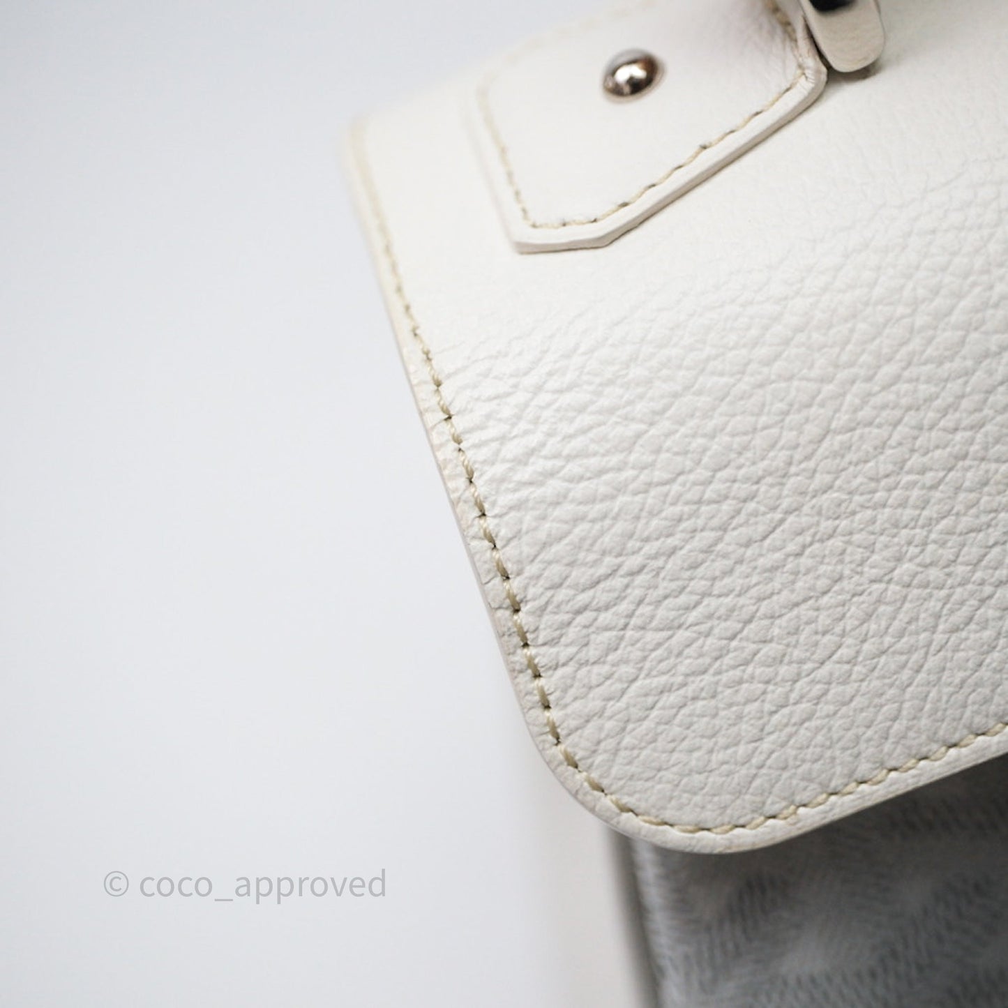 Goyard Saïgon Mini Bag Chevroches Calfskin White Silver Hardware