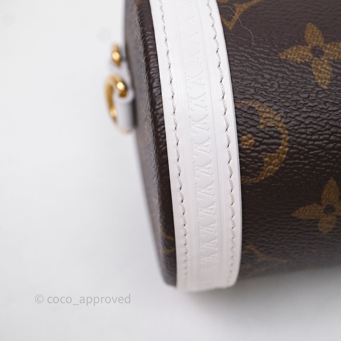 Louis Vuitton Monogram Papillon Trunk Bag