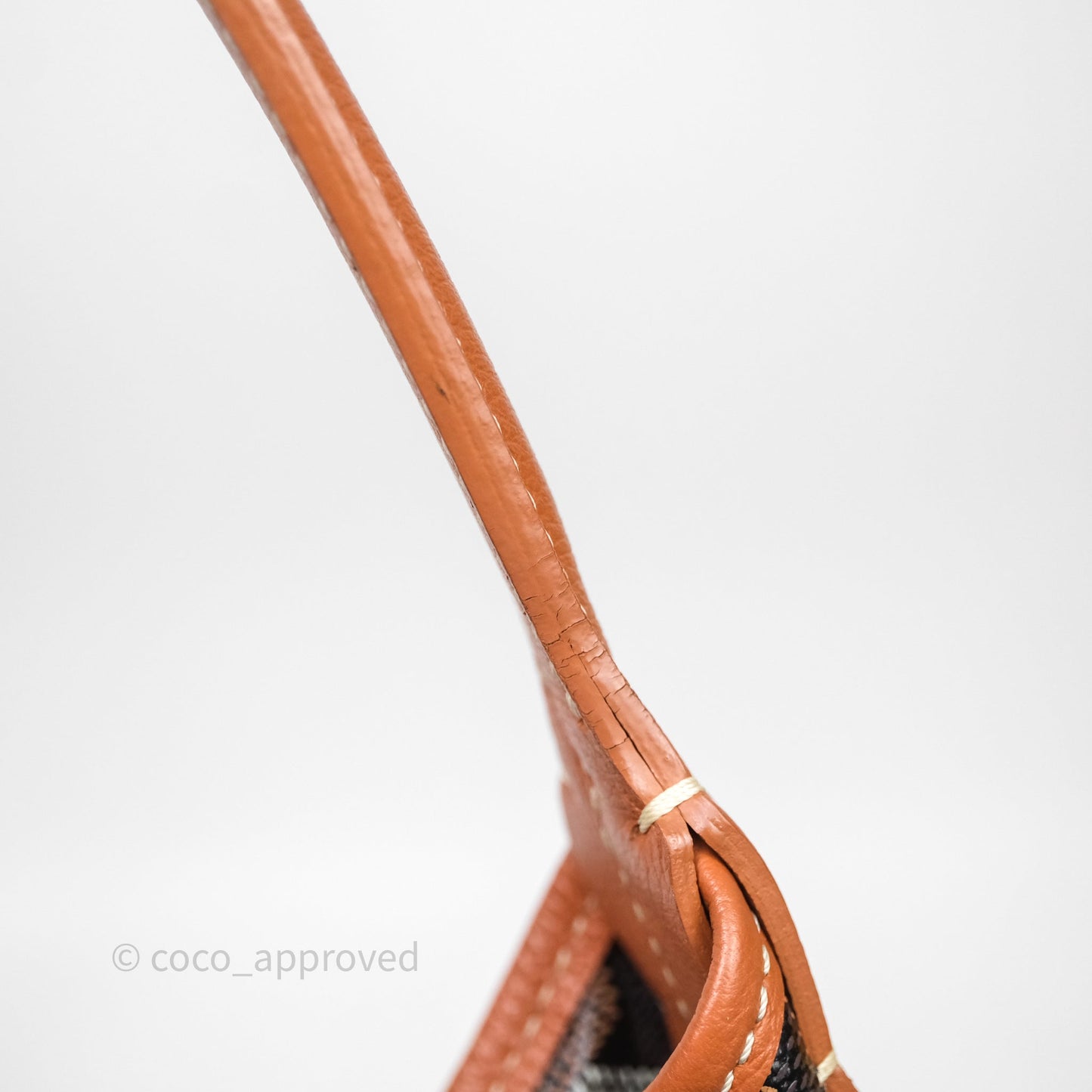 Goyard Bohème Hobo Bag Black & Tan