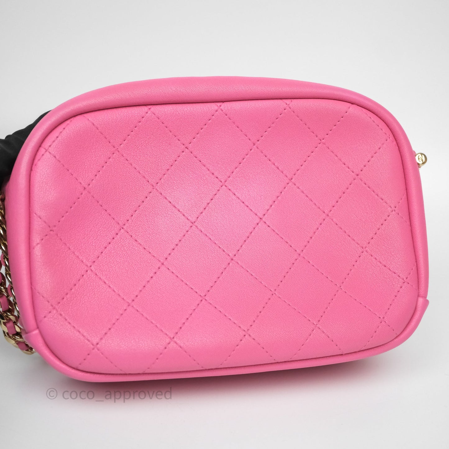 Chanel Camera Bag Pink Calfskin Aged Gold Hardware