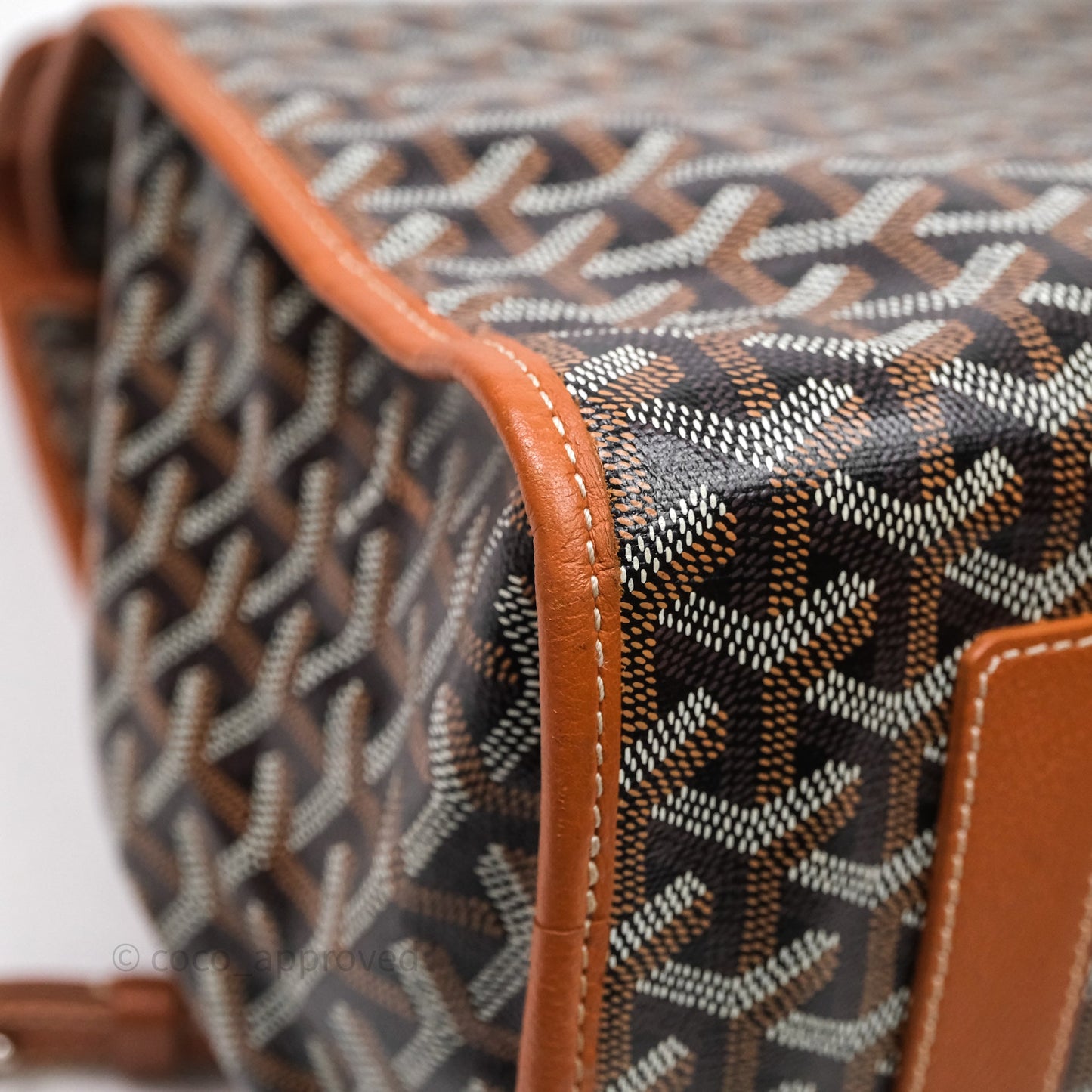Goyard Saint Léger Backpack Black/ Tan
