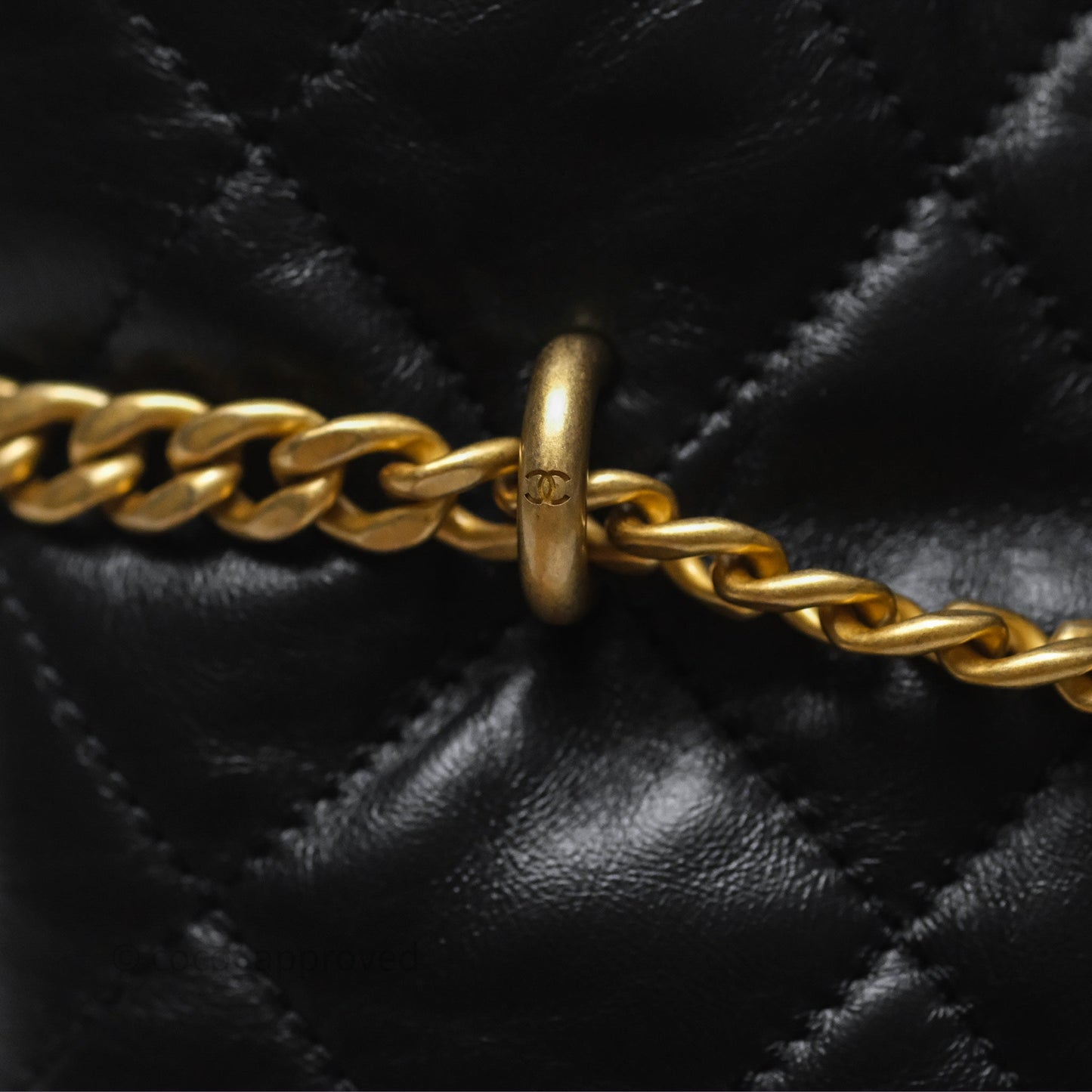 Chanel Enamel CC Bucket Bag Black Lambskin Gold Hardware 22P