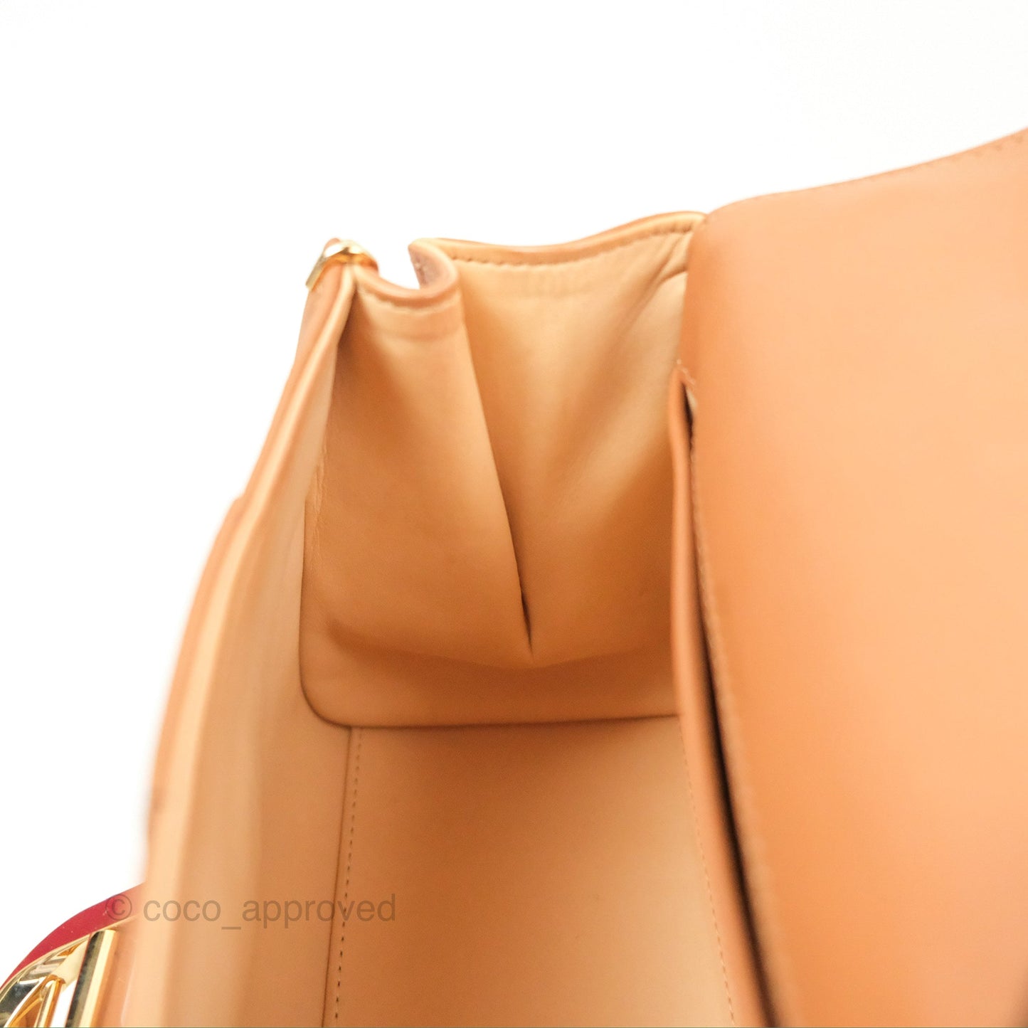 Delvaux Mini Brillant Bag Vegetal Rodeo Calf Gold Hardware