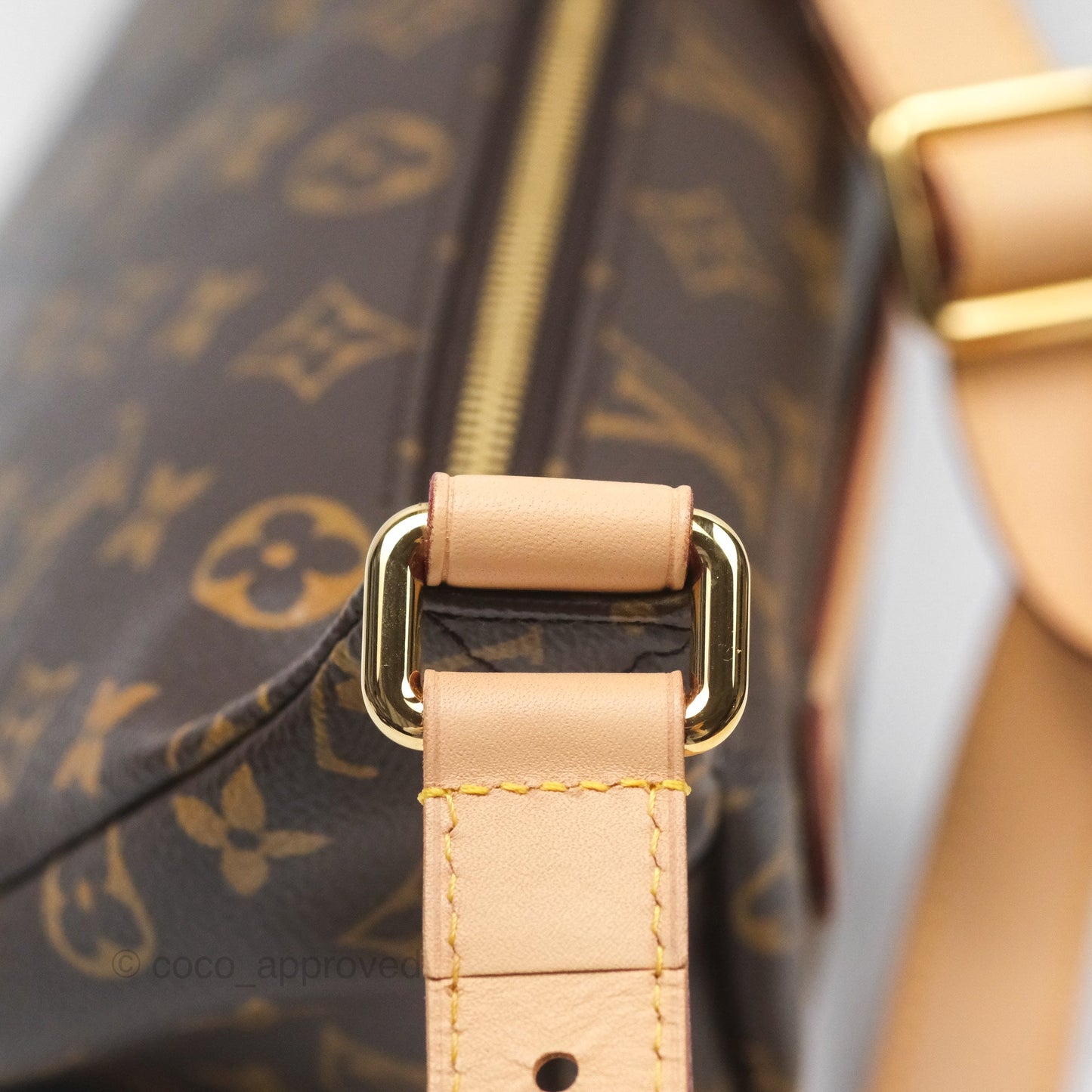 Louis Vuitton Bum Bag Monogram Canvas
