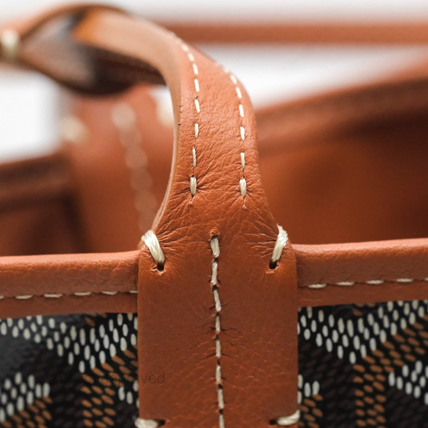 Goyard Anjou Mini Bag Goyardine Canvas Black/ Tan