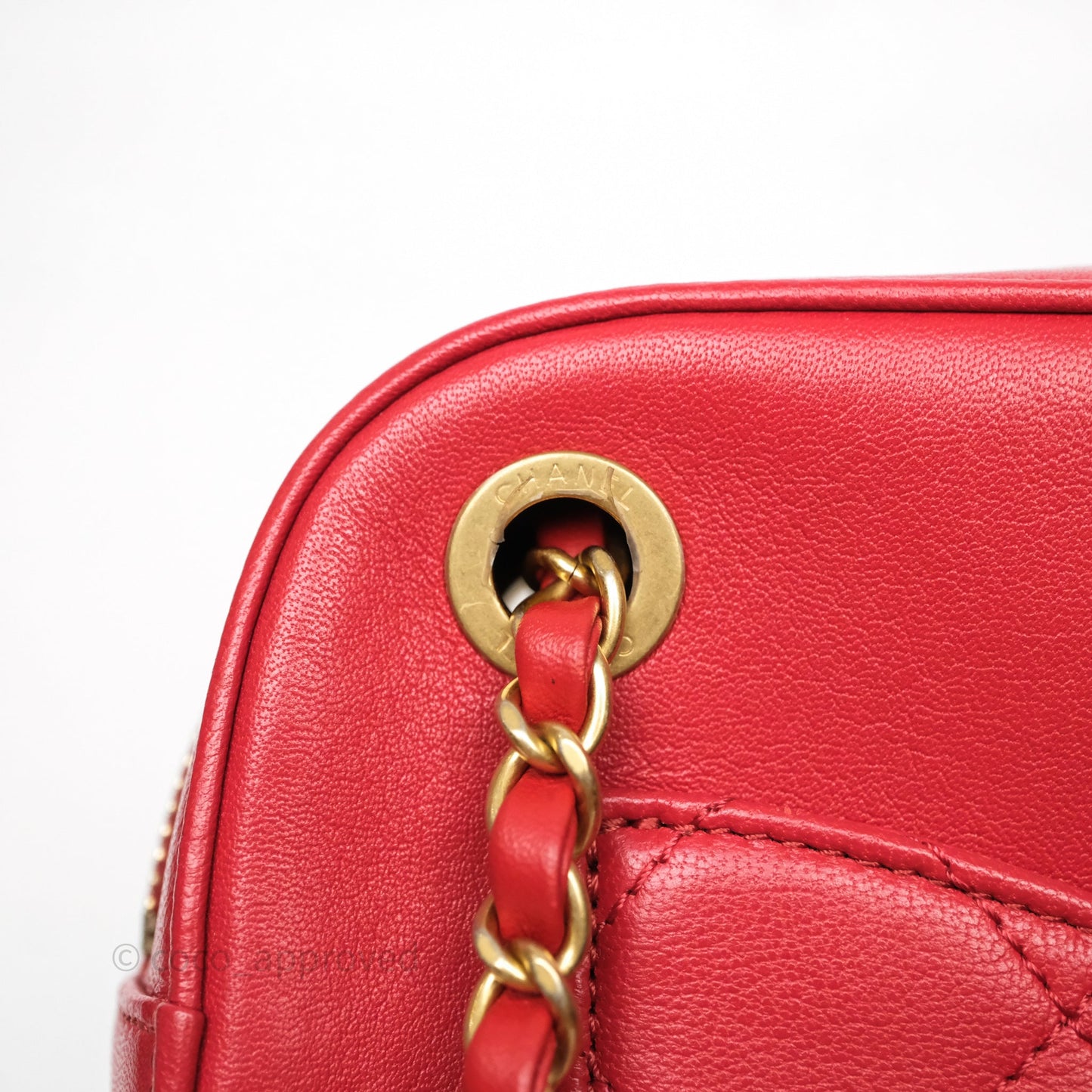 Chanel Infinity Camera Case Red Goatskin Aged Gold Hardware