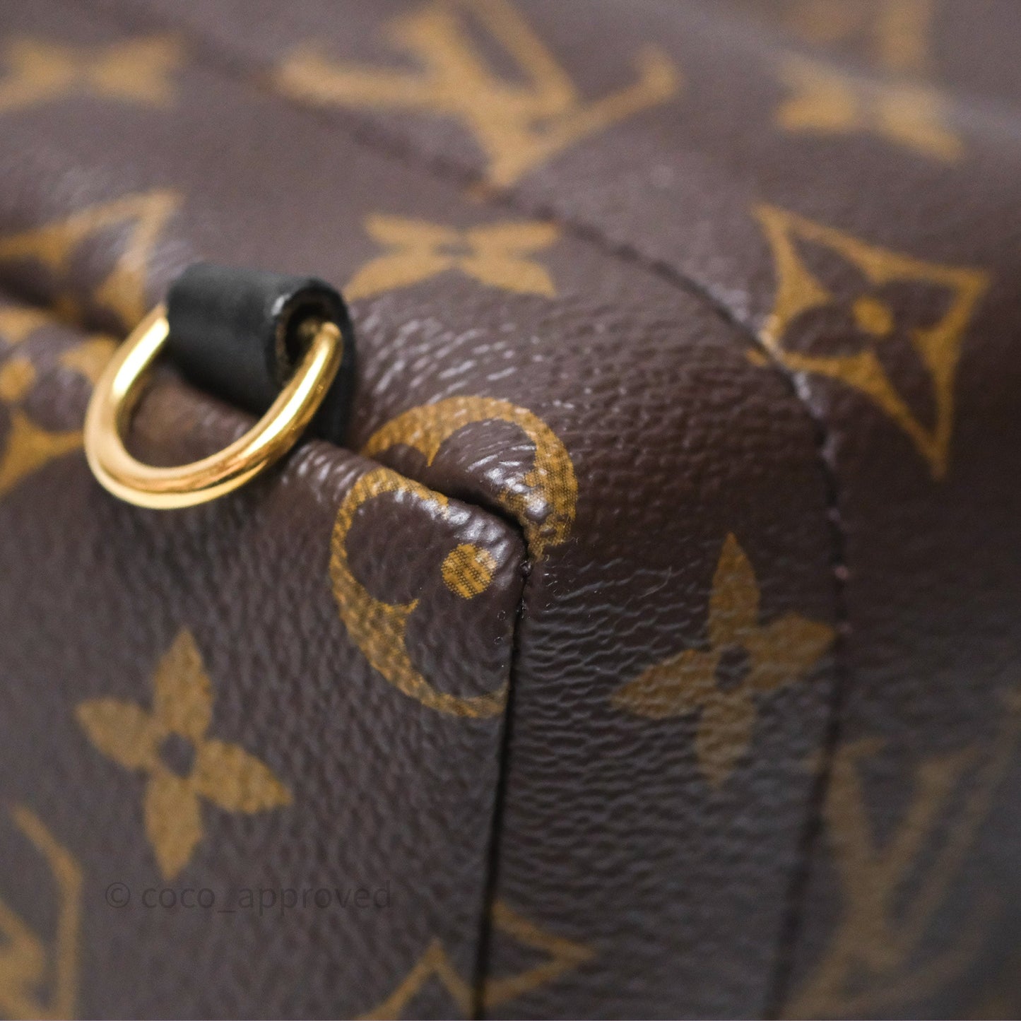 Louis Vuitton Mini Palm Springs Backpack⁣ Monogram
