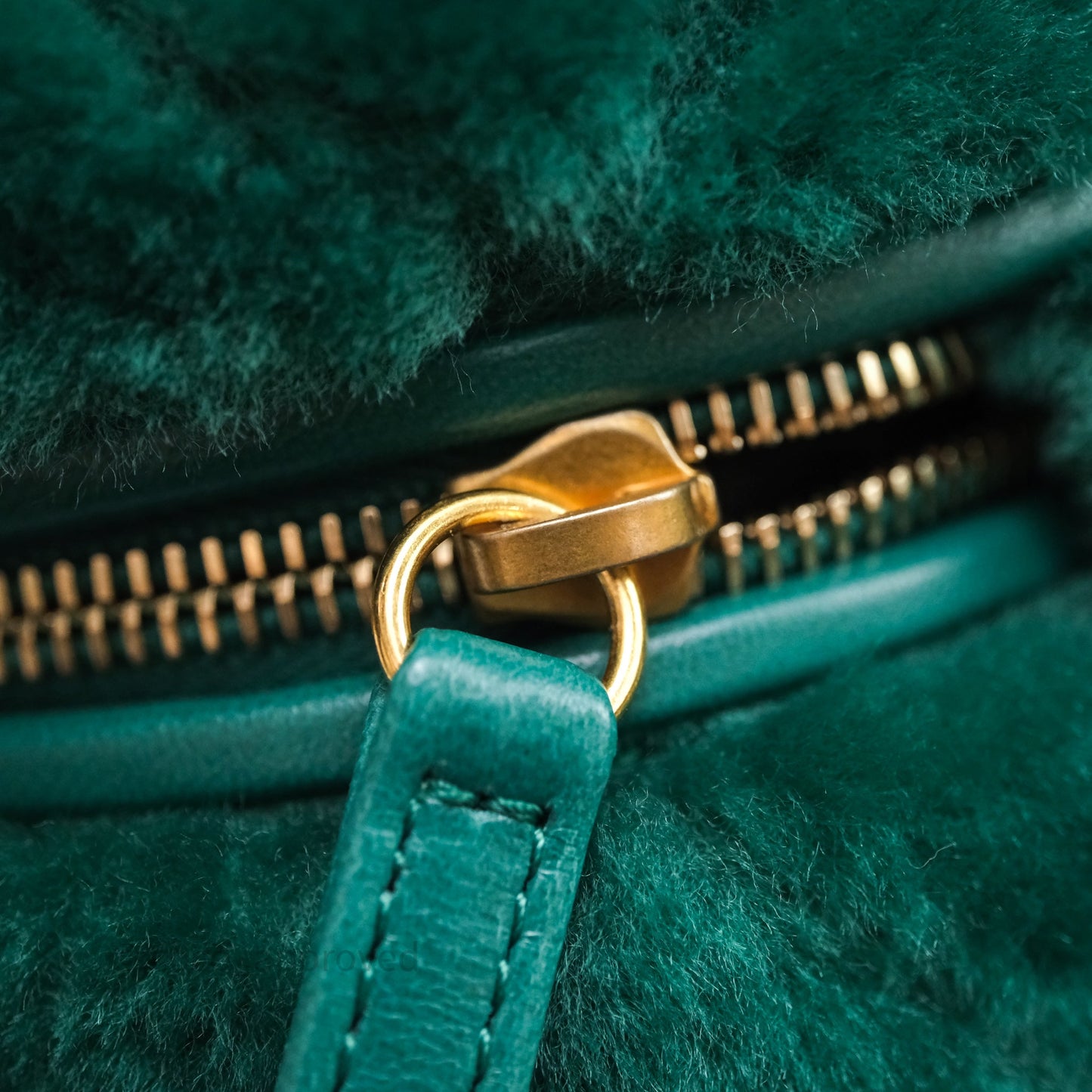 Chanel Small Vanity Case Green Shearling Aged Gold Hardware 22A